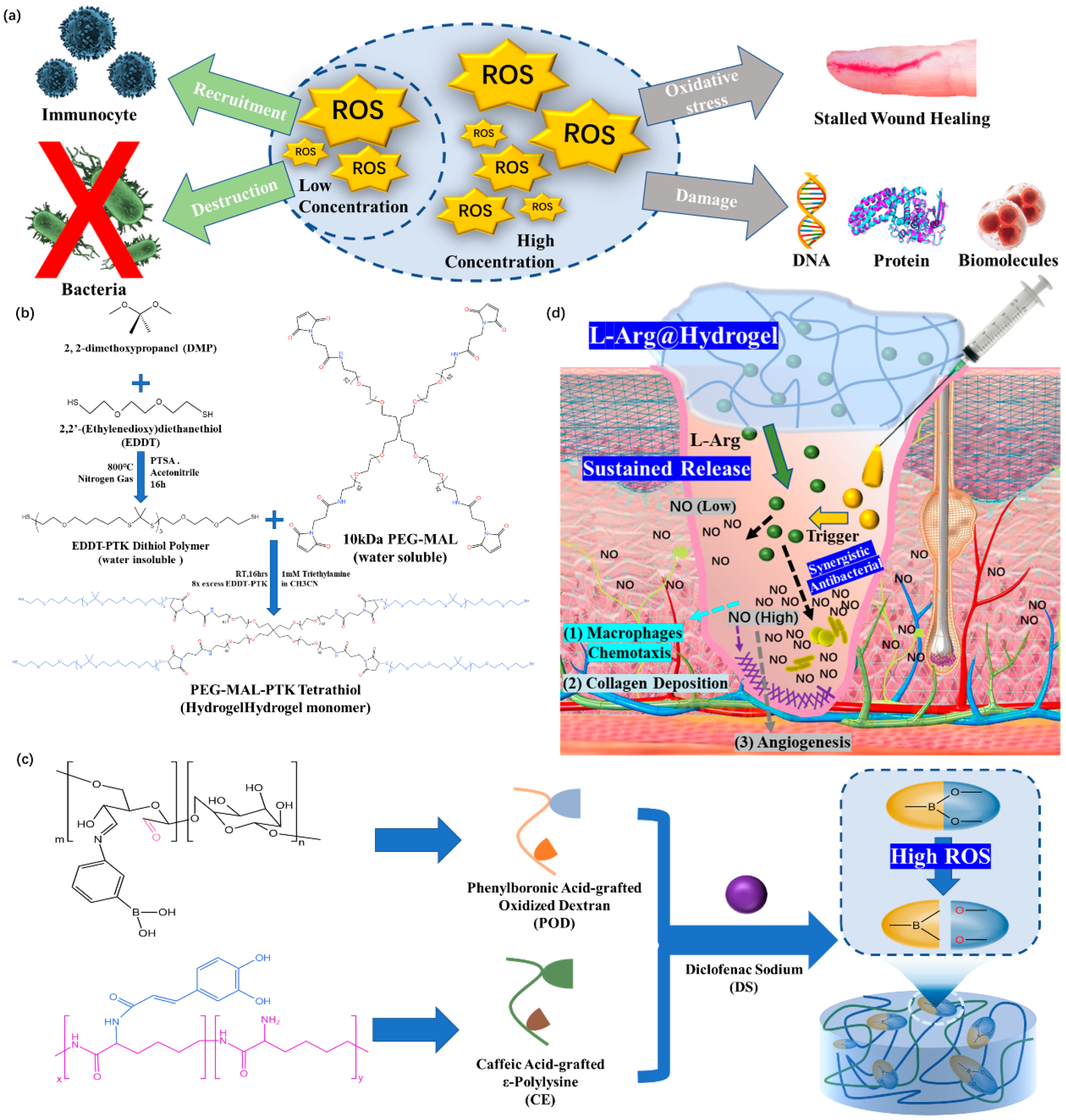 Polymers 15 02000 g013 Polymers 15 02000 g013