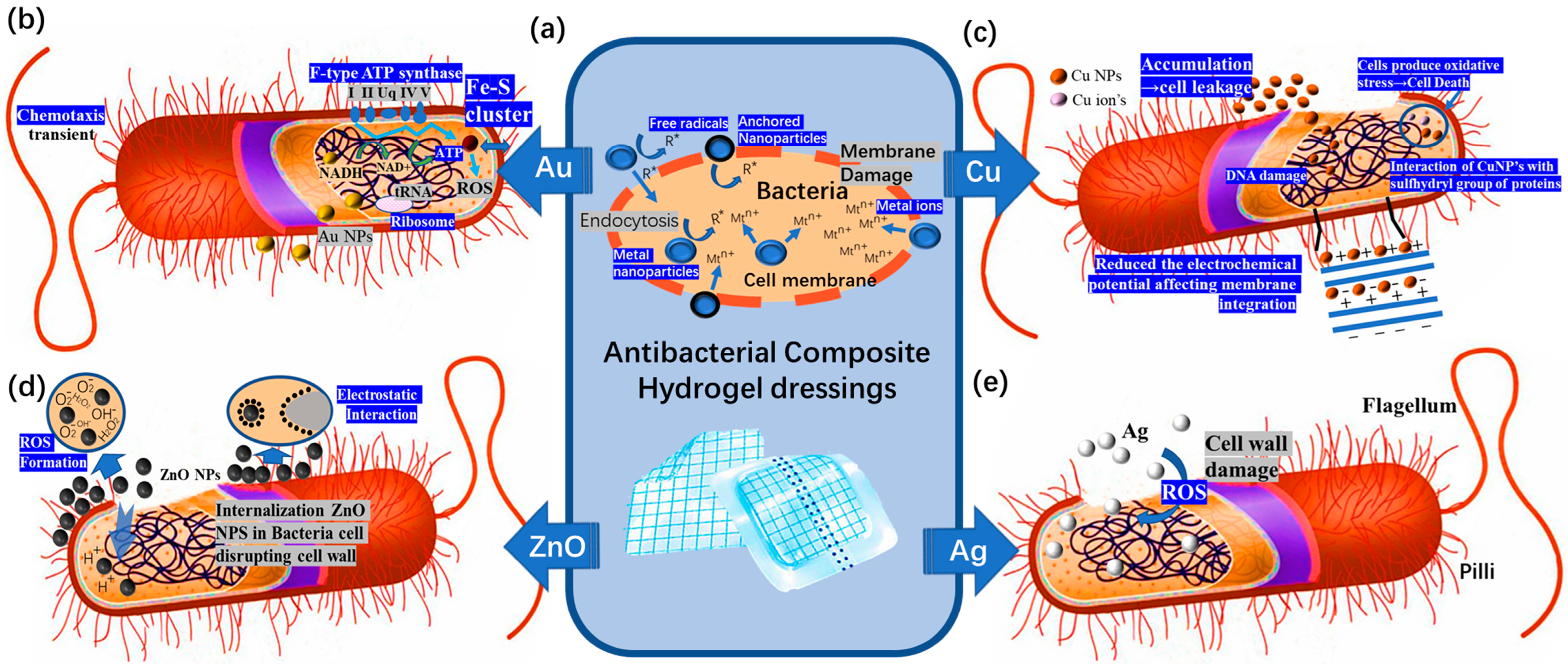 Polymers 15 02000 g017 Polymers 15 02000 g017