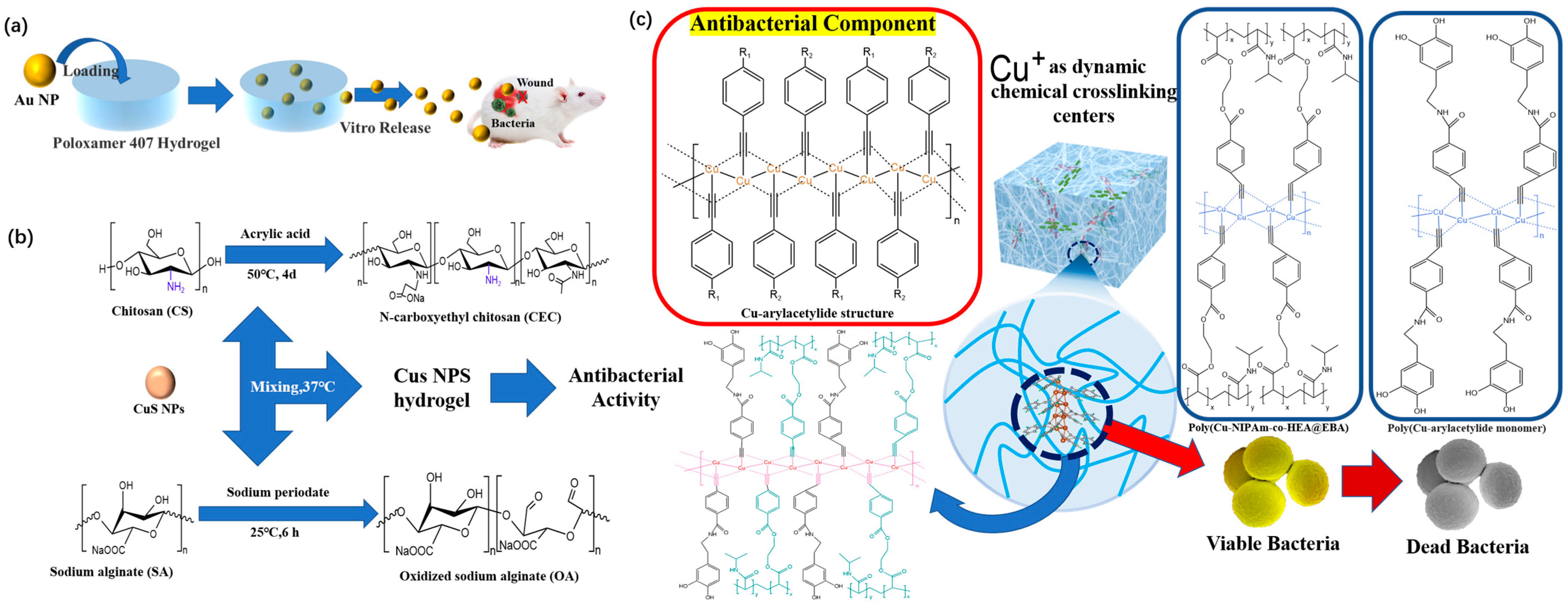 Polymers 15 02000 g018 Polymers 15 02000 g018