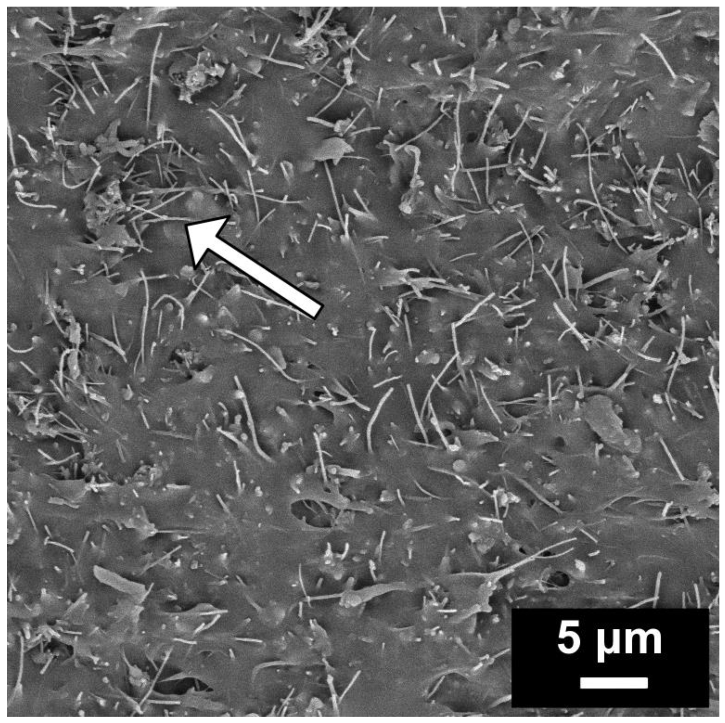 Polymers 15 02005 g001