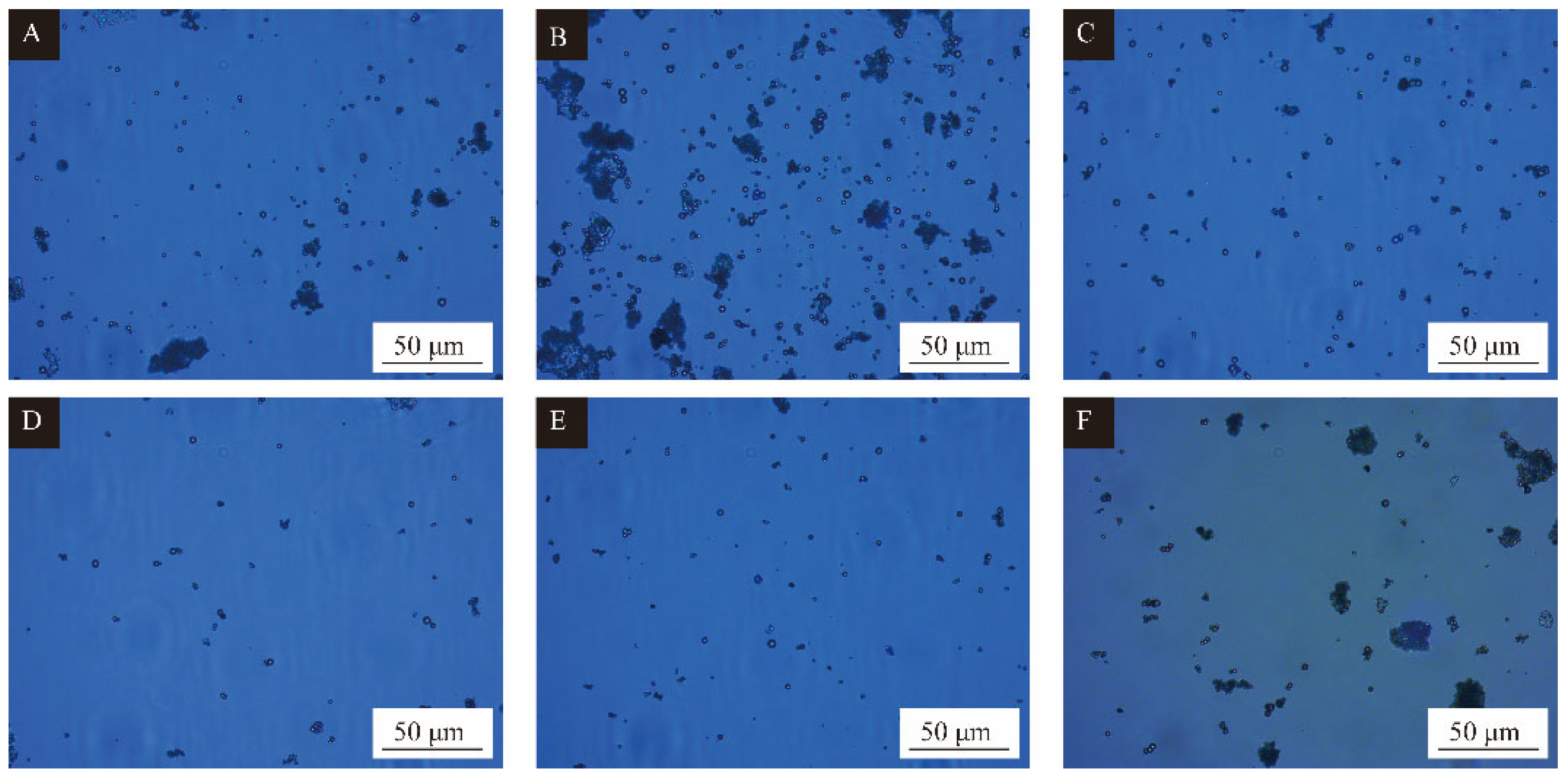 Polymers 15 02016 g004