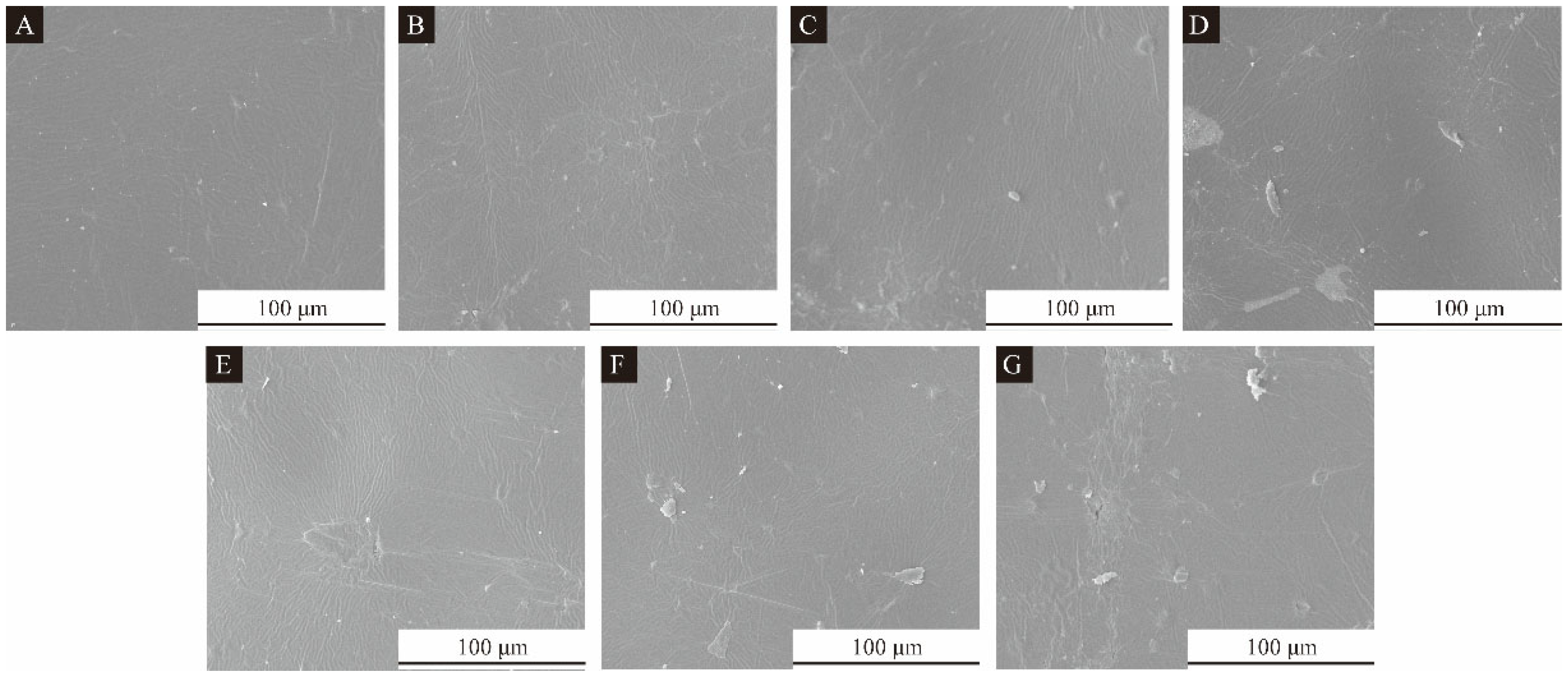 Polymers 15 02016 g021
