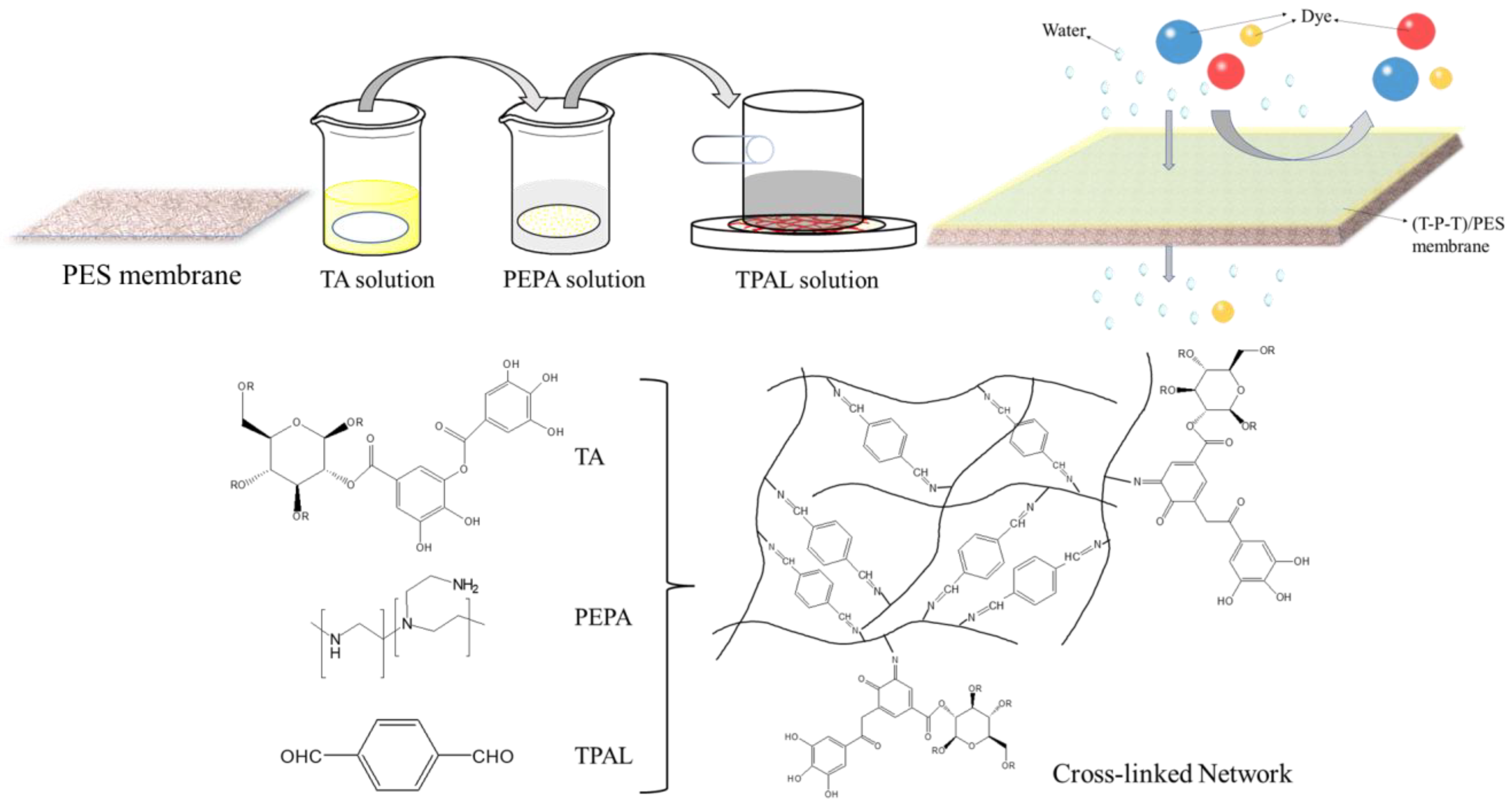 Polymers 15 02018 g001 Polymers 15 02018 g001