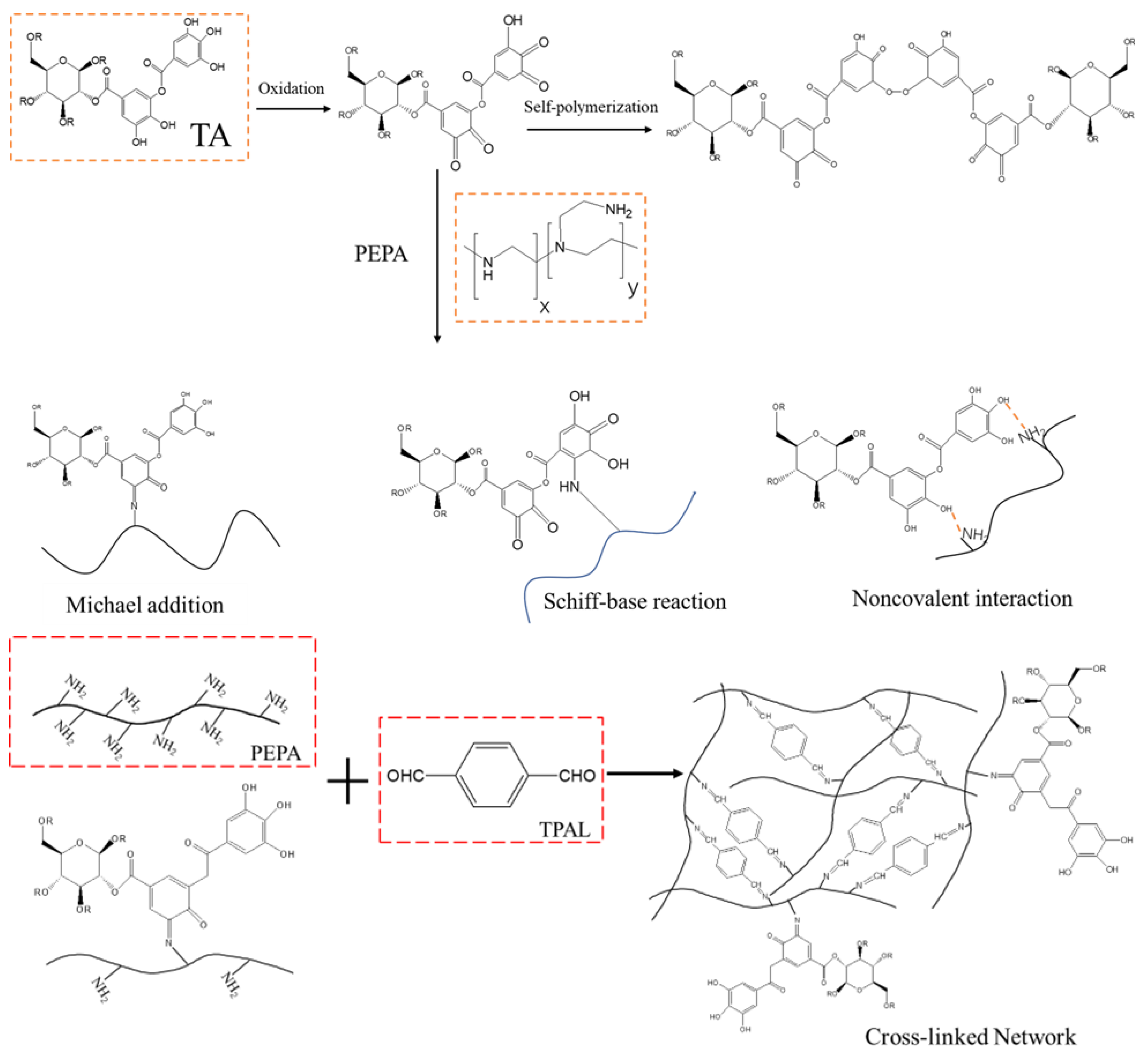 Polymers 15 02018 g005 Polymers 15 02018 g005