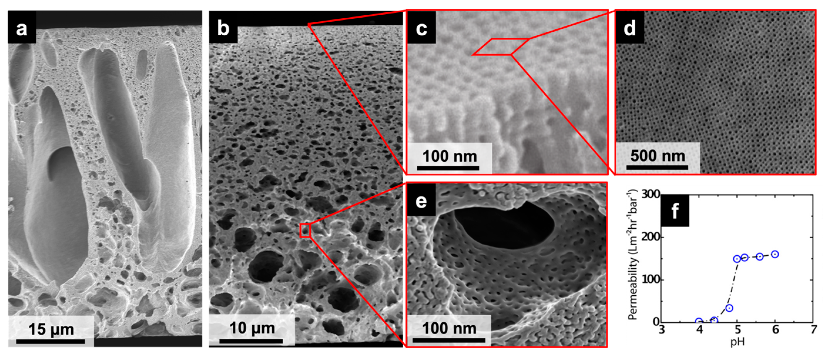 Polymers 15 02020 g002 Polymers 15 02020 g002