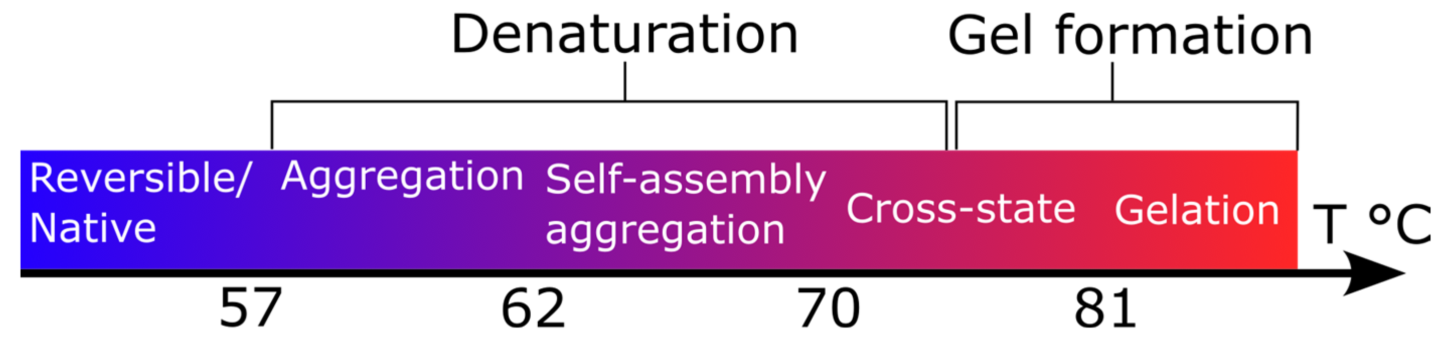Polymers 15 02039 g003