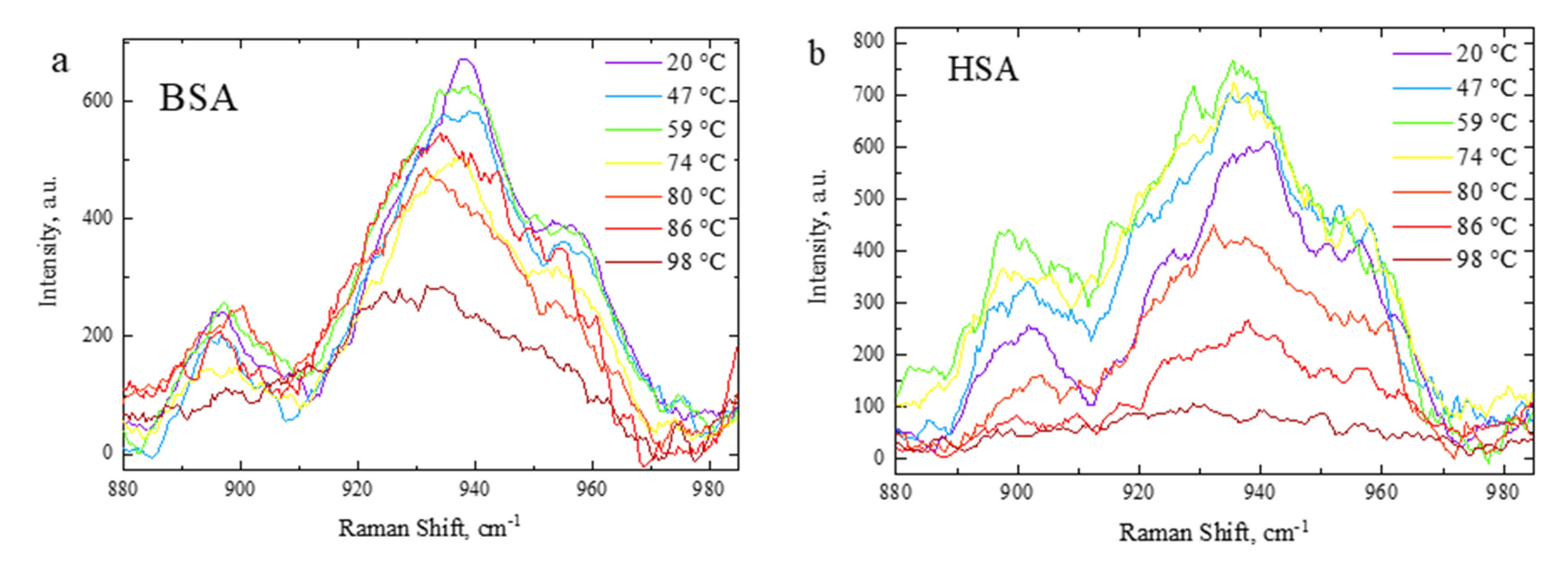 Polymers 15 02039 g004