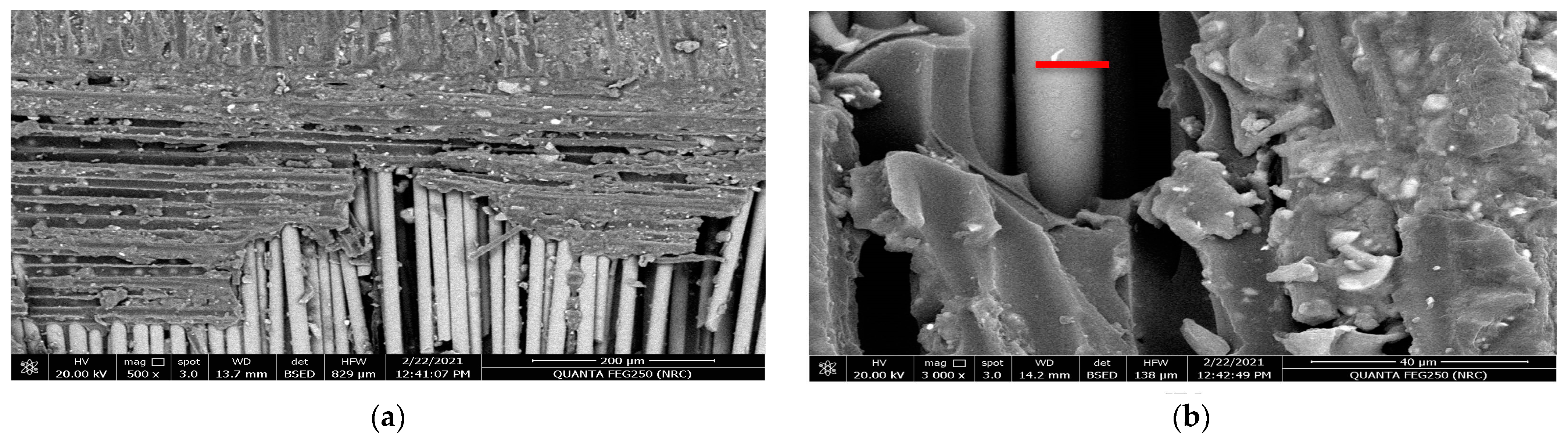 Polymers 15 02064 g005 Polymers 15 02064 g005
