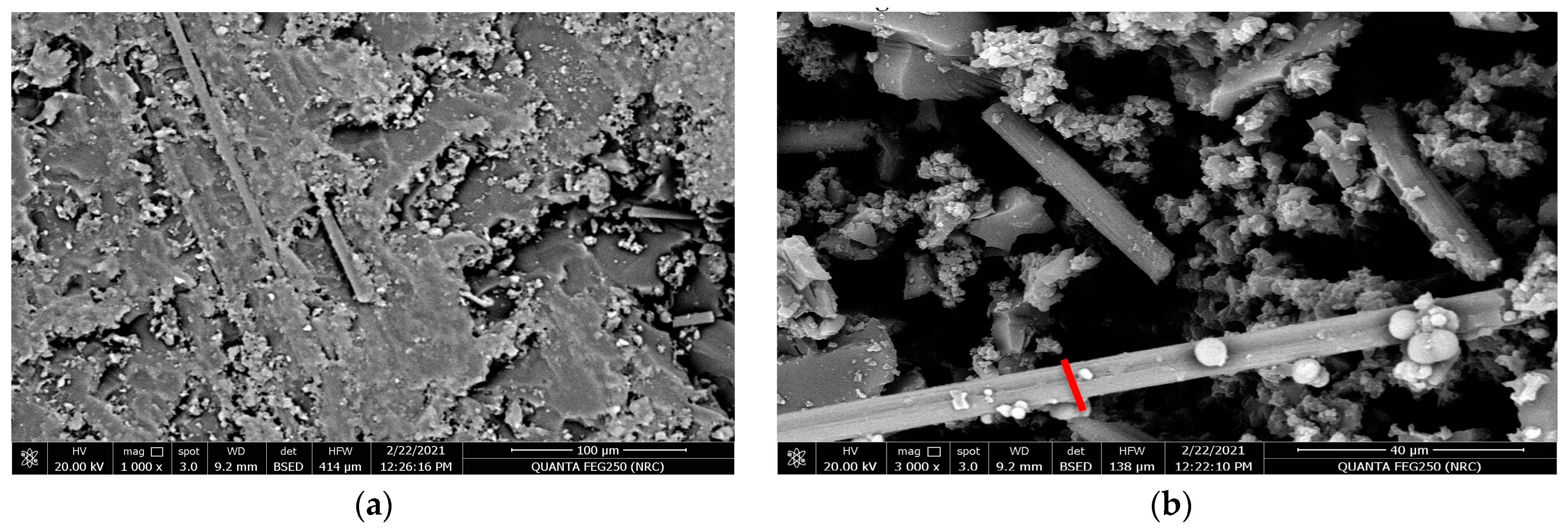 Polymers 15 02064 g012 Polymers 15 02064 g012