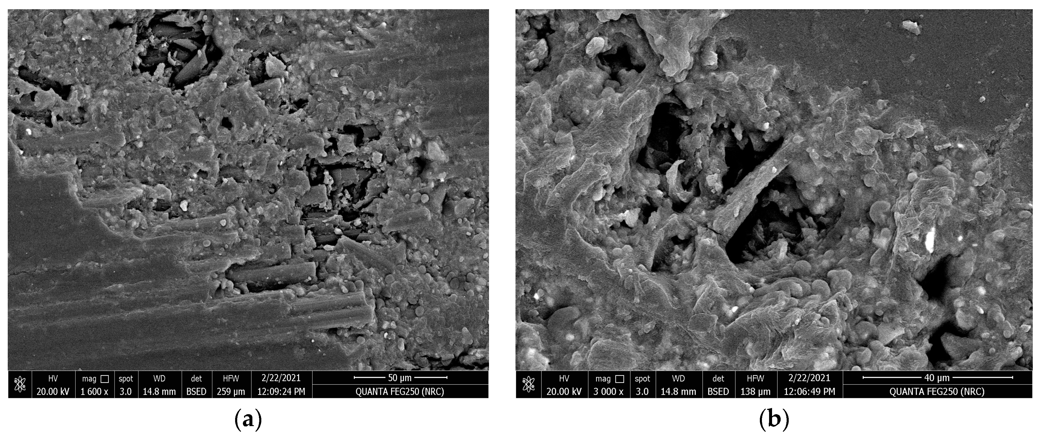 Polymers 15 02064 g015 Polymers 15 02064 g015