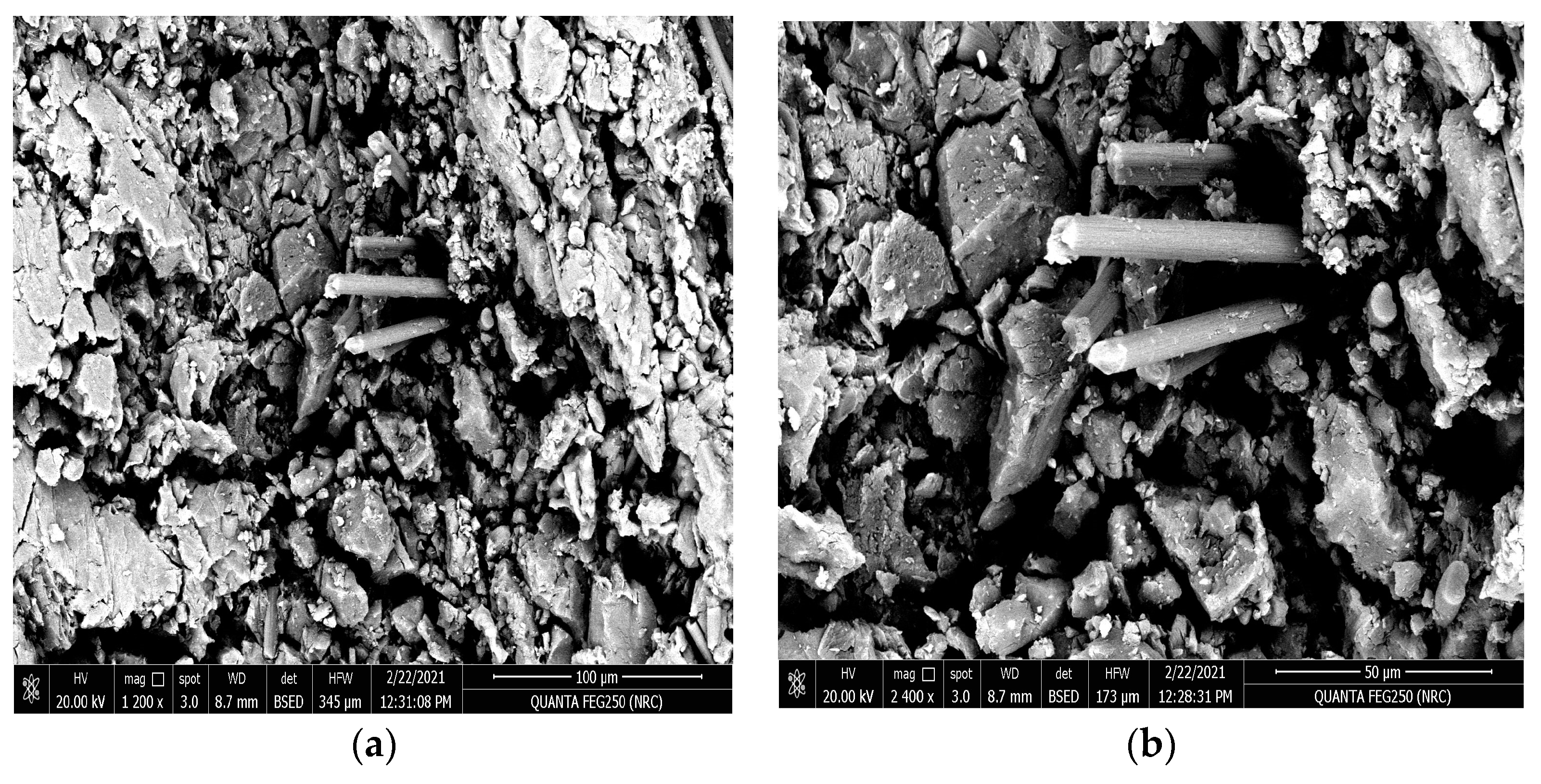 Polymers 15 02064 g016 Polymers 15 02064 g016