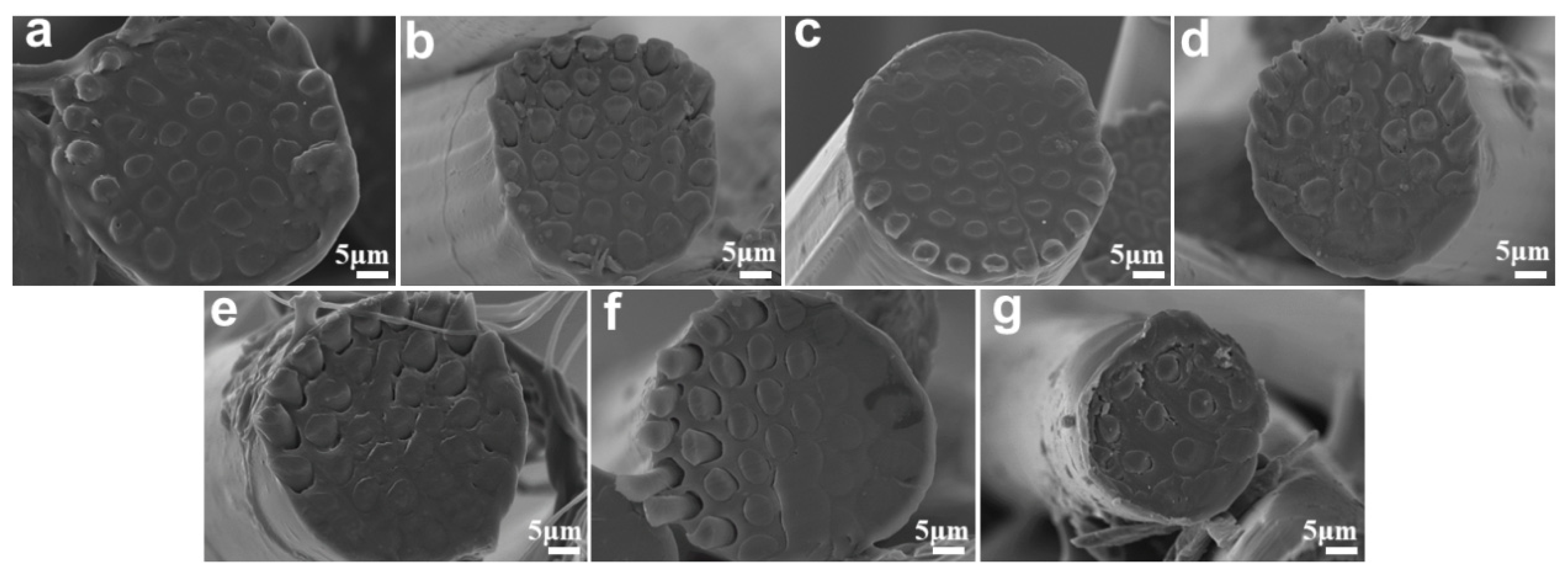 Polymers 15 02071 g002