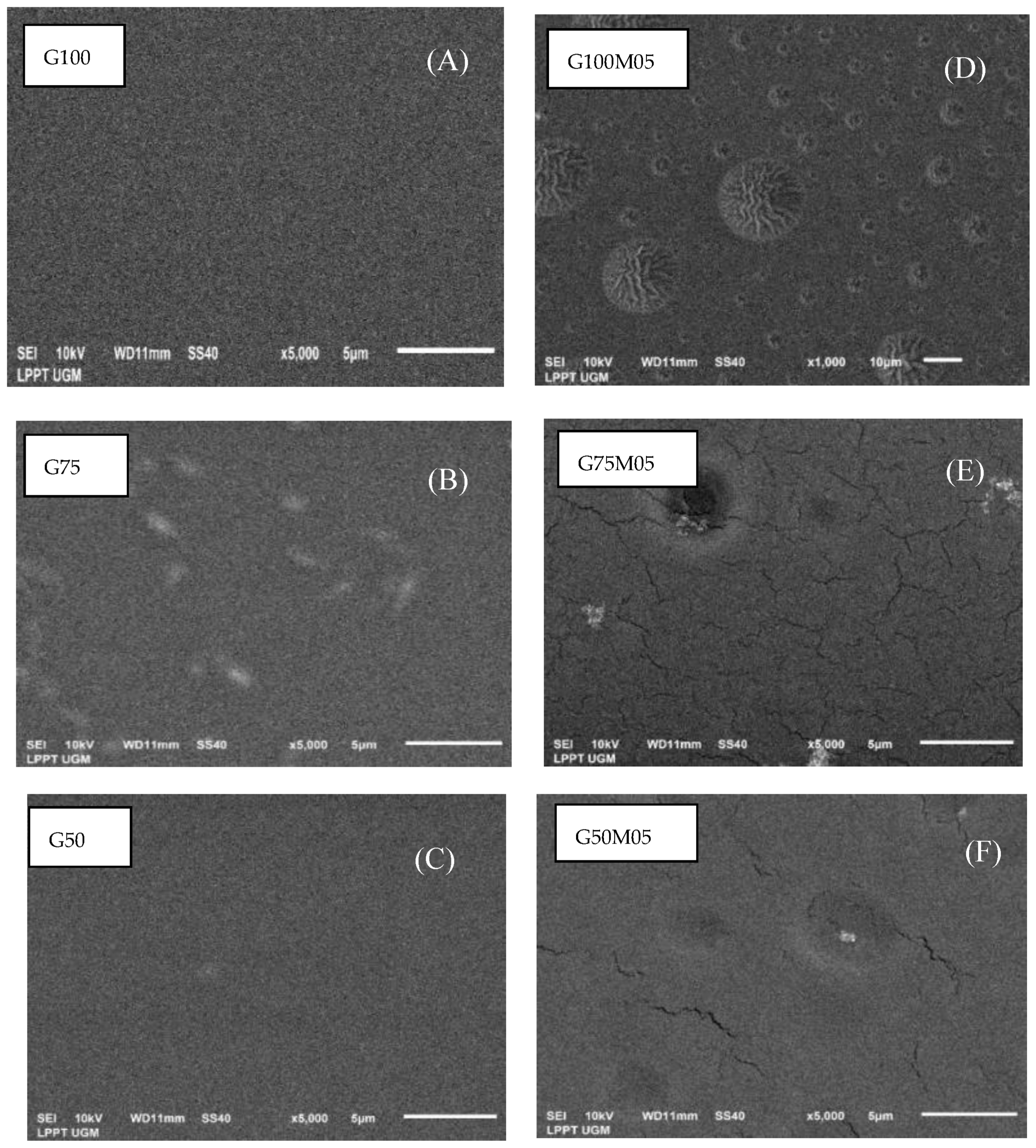 Polymers 15 02075 g007 Polymers 15 02075 g007