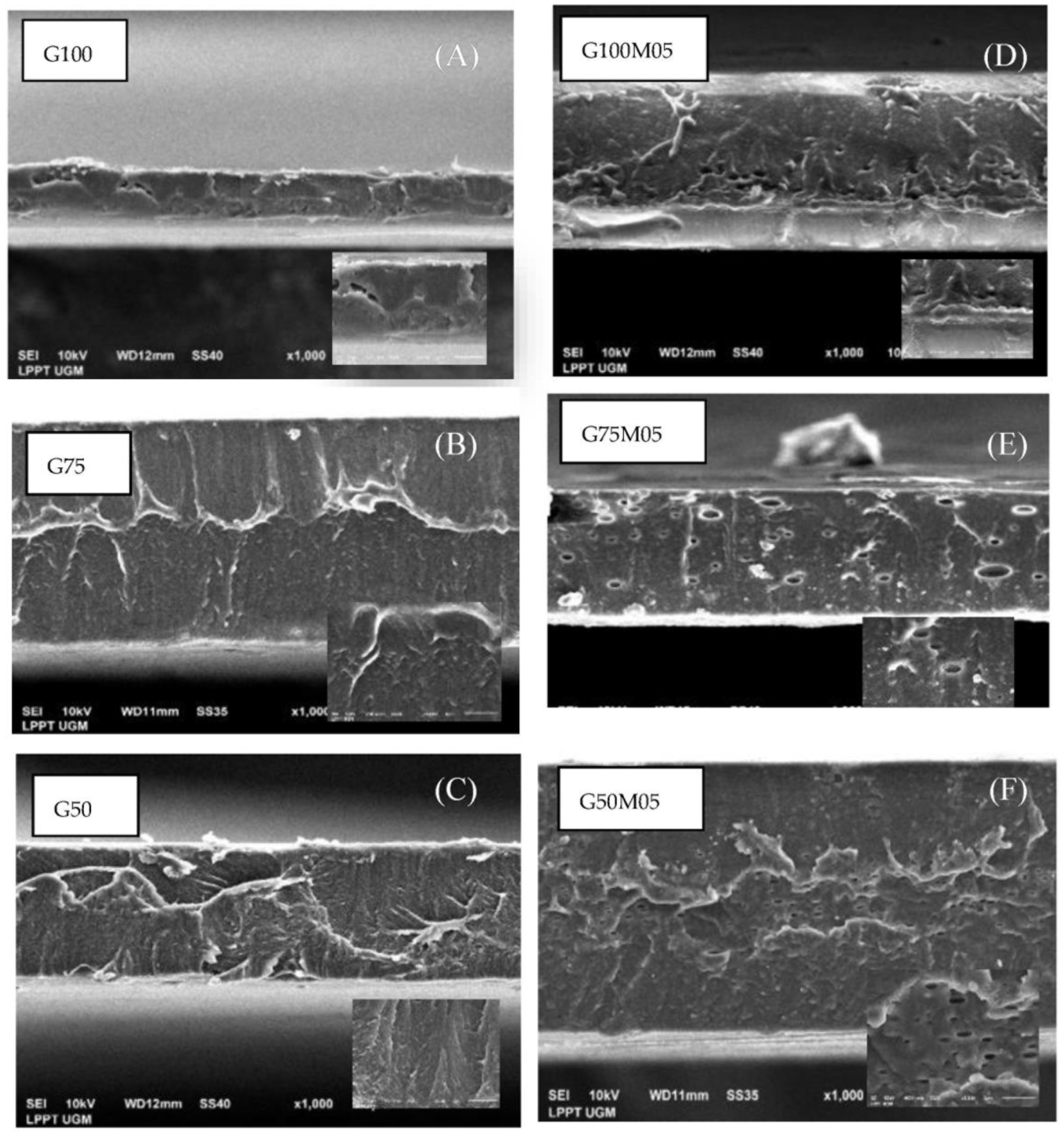 Polymers 15 02075 g008 Polymers 15 02075 g008