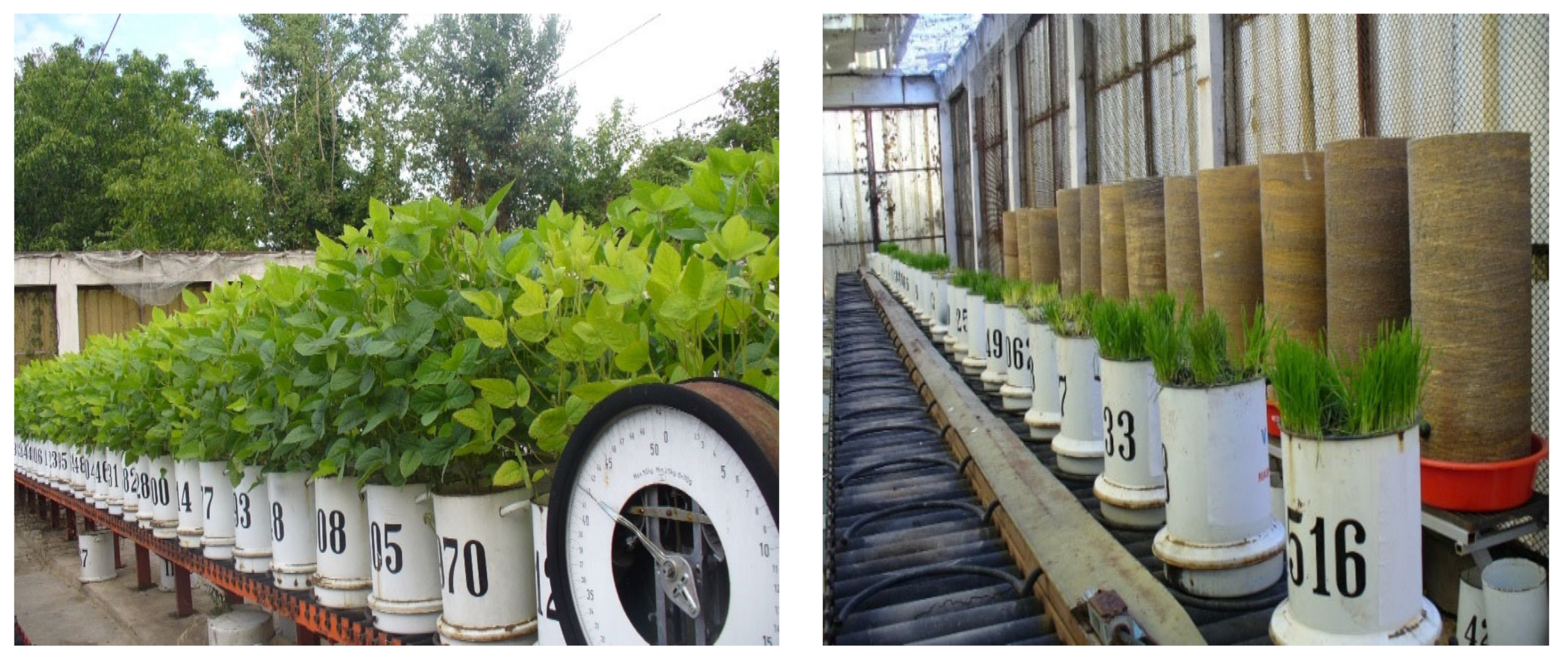 Polymers 15 02085 g001