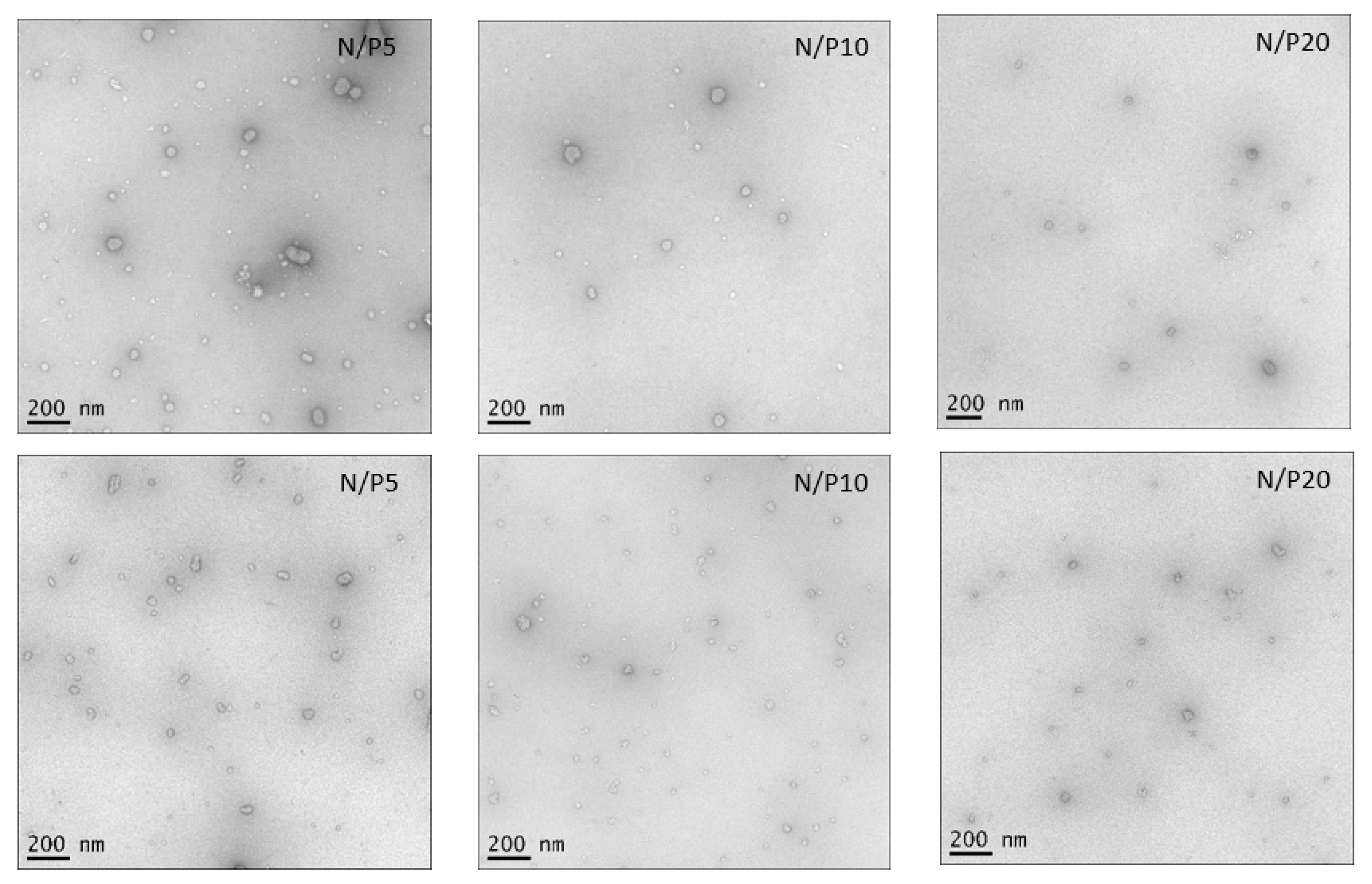 Polymers 15 02115 g012