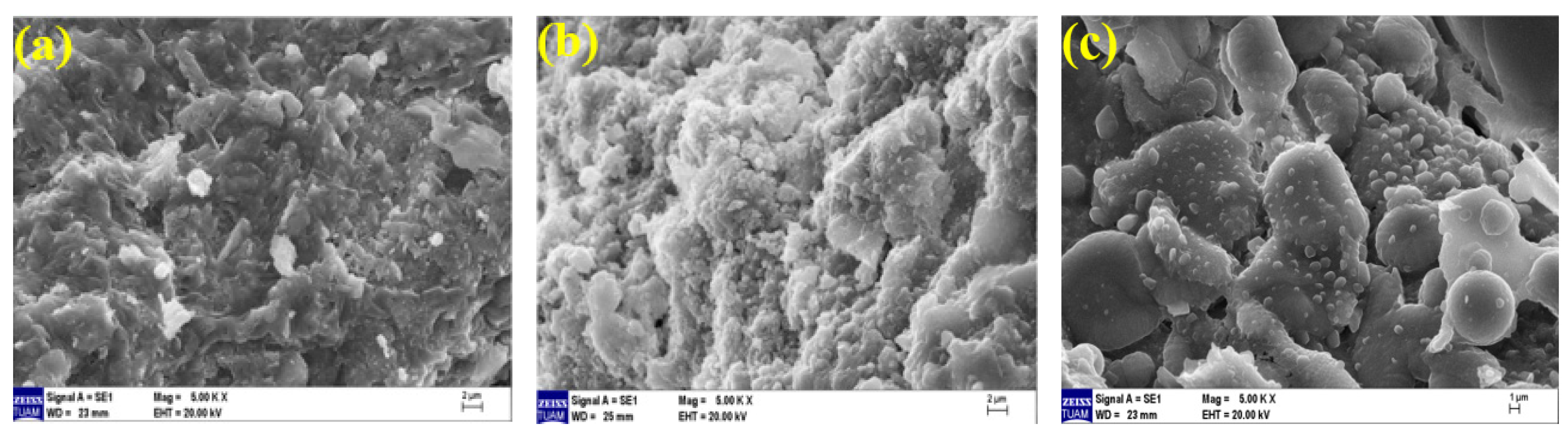 Polymers 15 02127 g022 Polymers 15 02127 g022