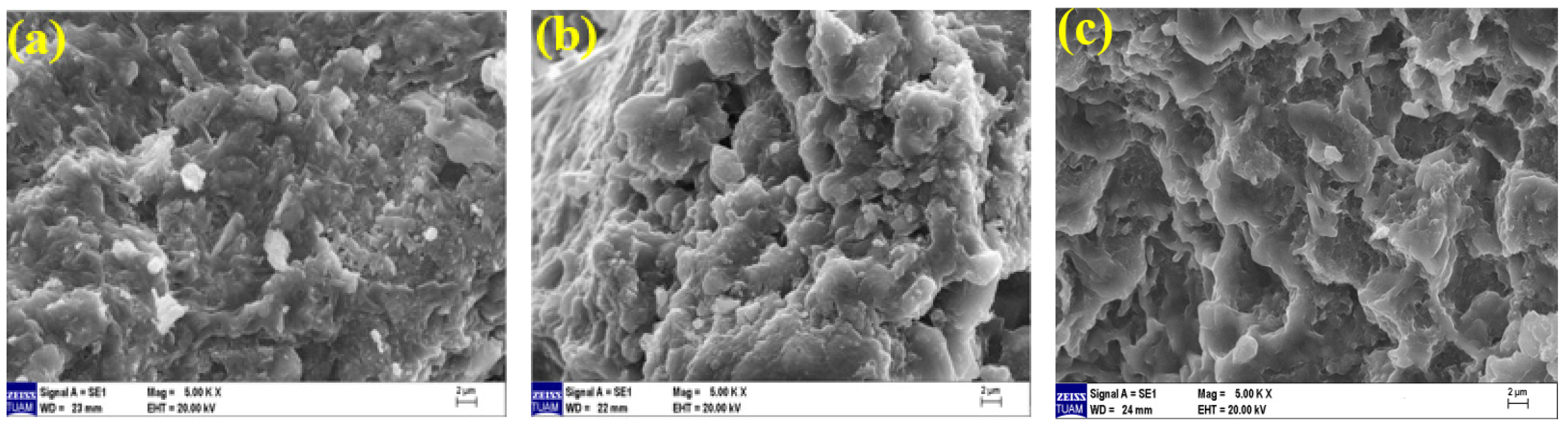 Polymers 15 02127 g024 Polymers 15 02127 g024