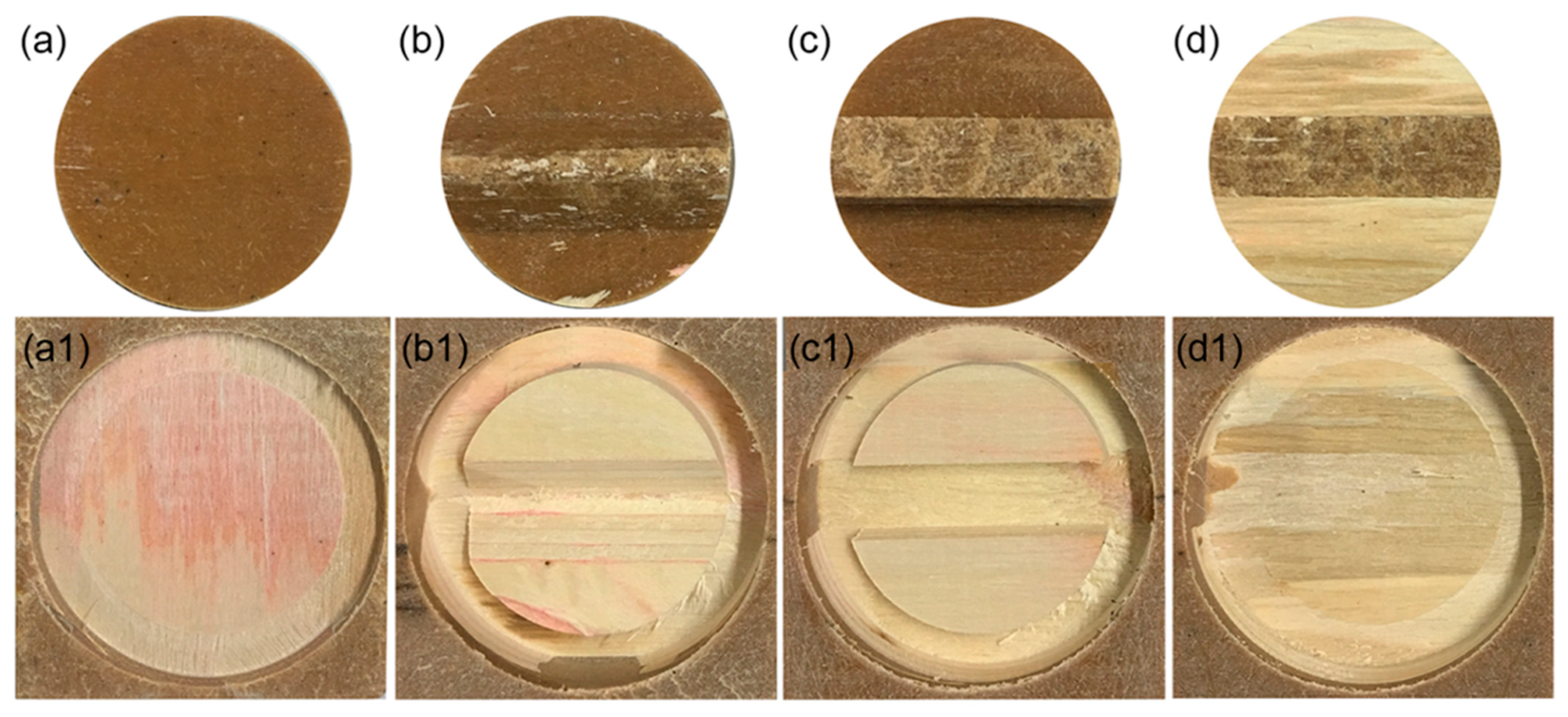 Polymers 15 02151 g009