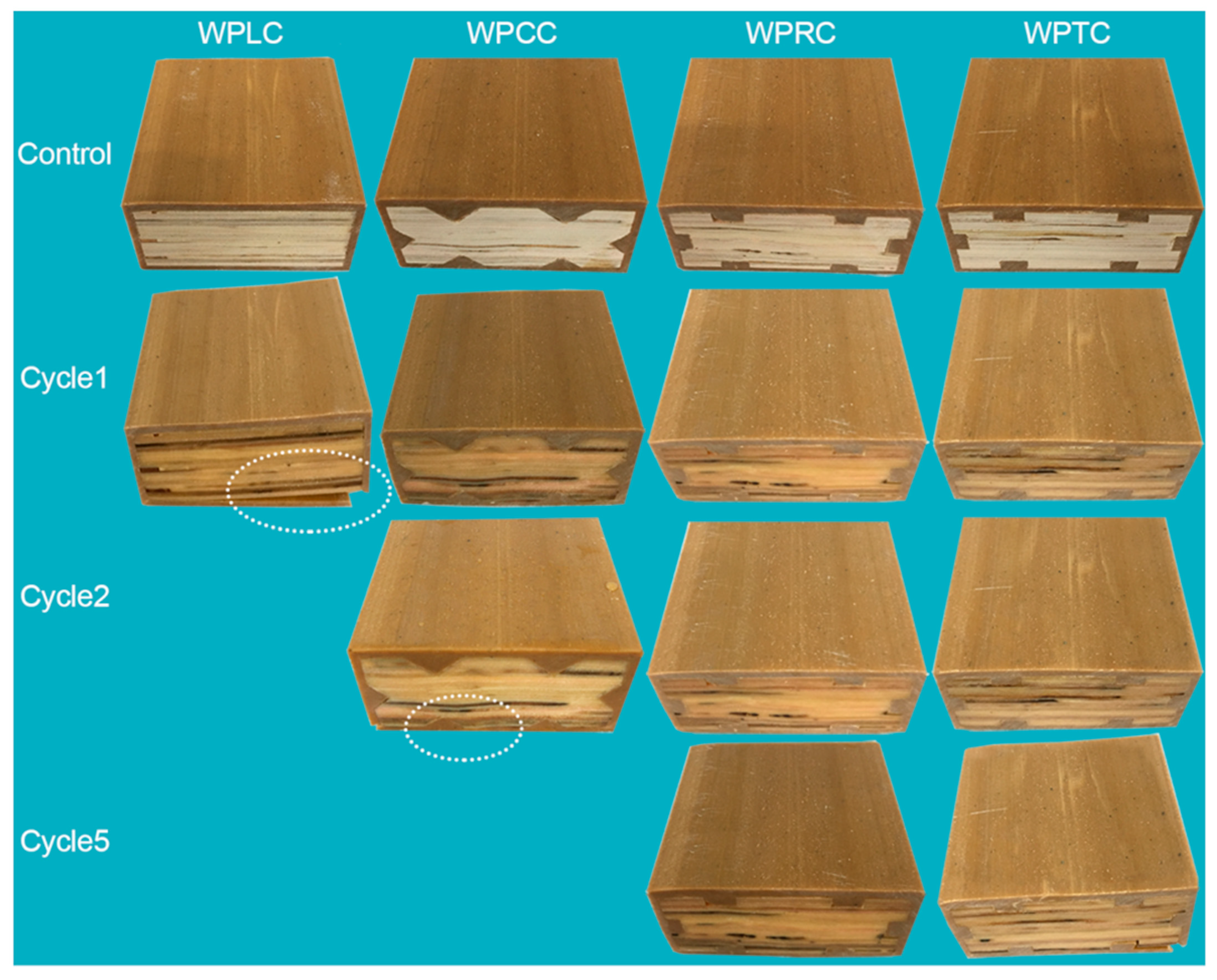 Polymers 15 02151 g011