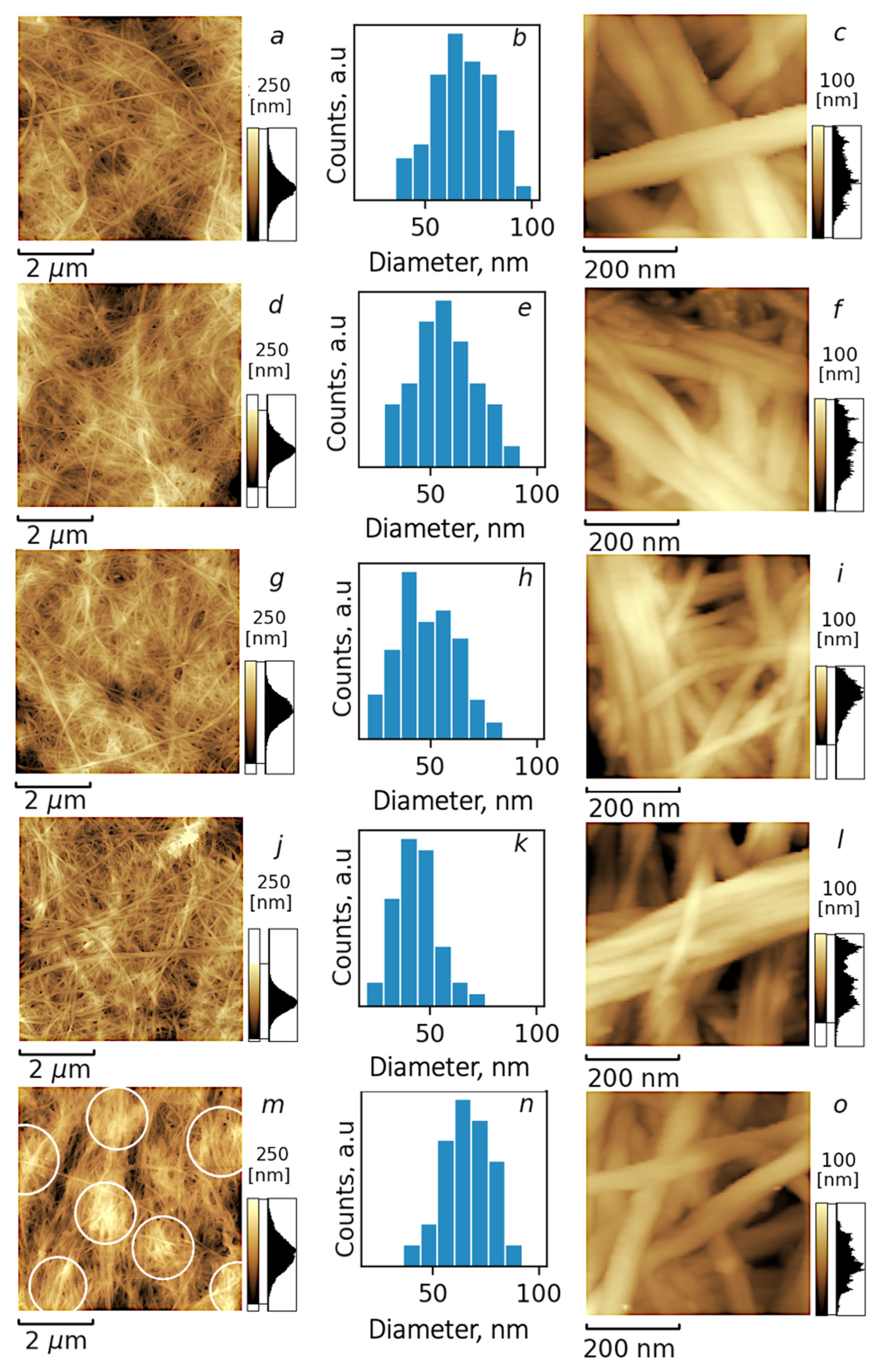 Polymers 15 02156 g002 Polymers 15 02156 g002