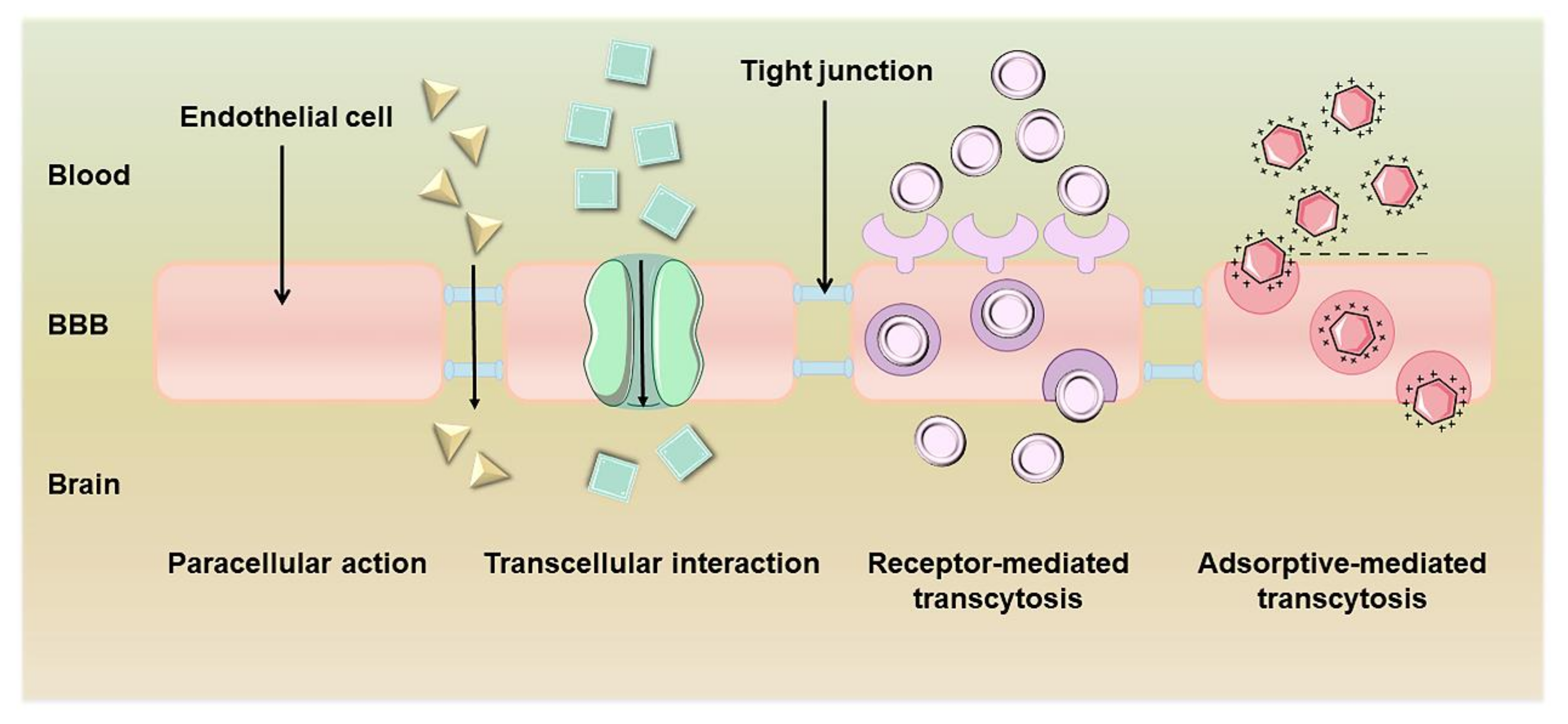 Polymers 15 02196 g002 Polymers 15 02196 g002