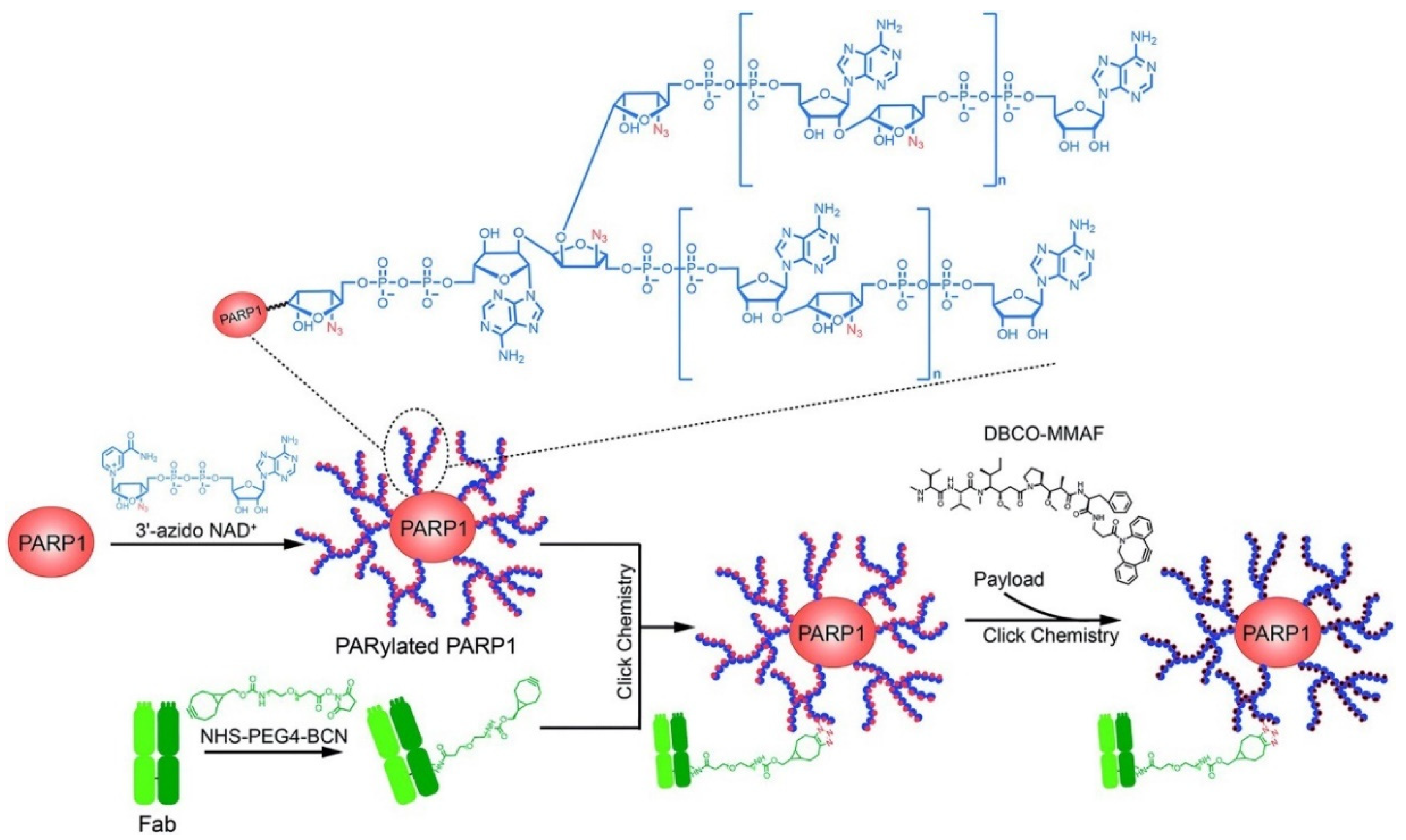 Polymers 15 02219 g006 Polymers 15 02219 g006
