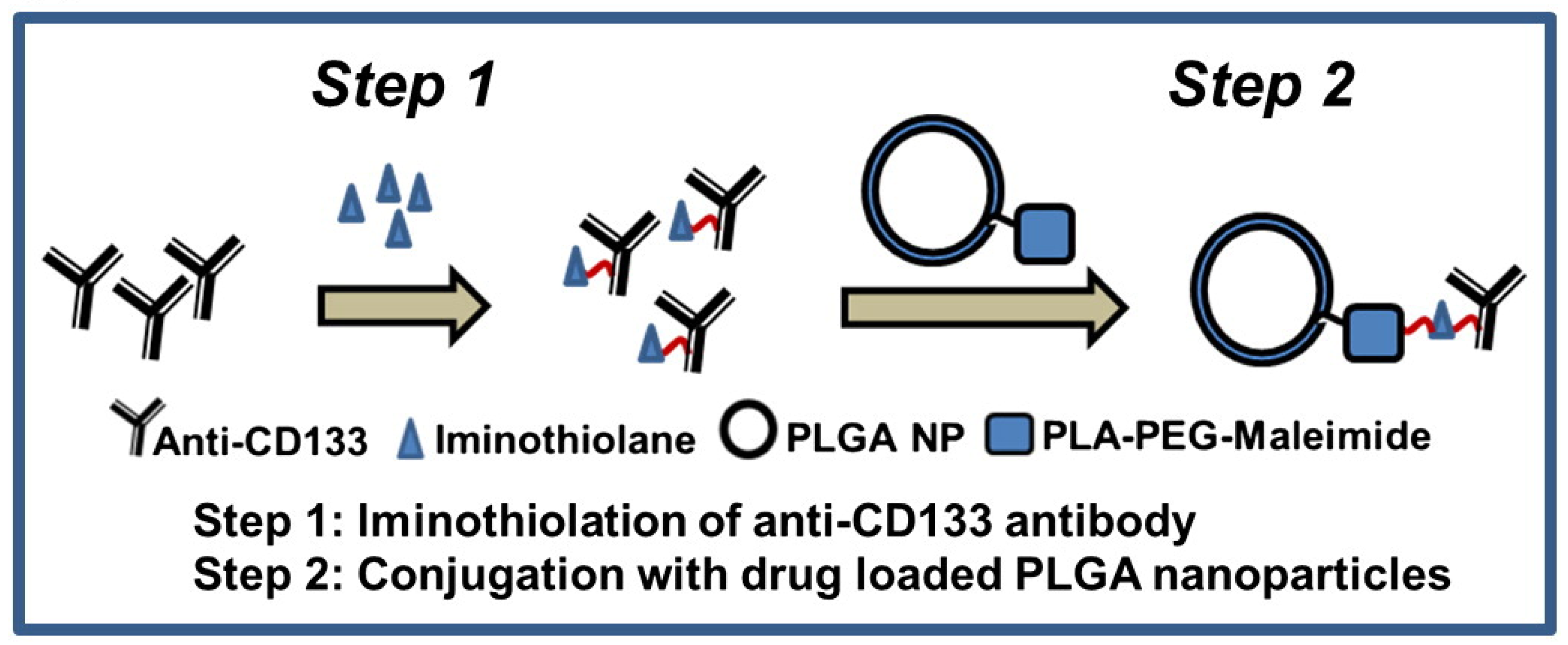 Polymers 15 02219 g007 Polymers 15 02219 g007