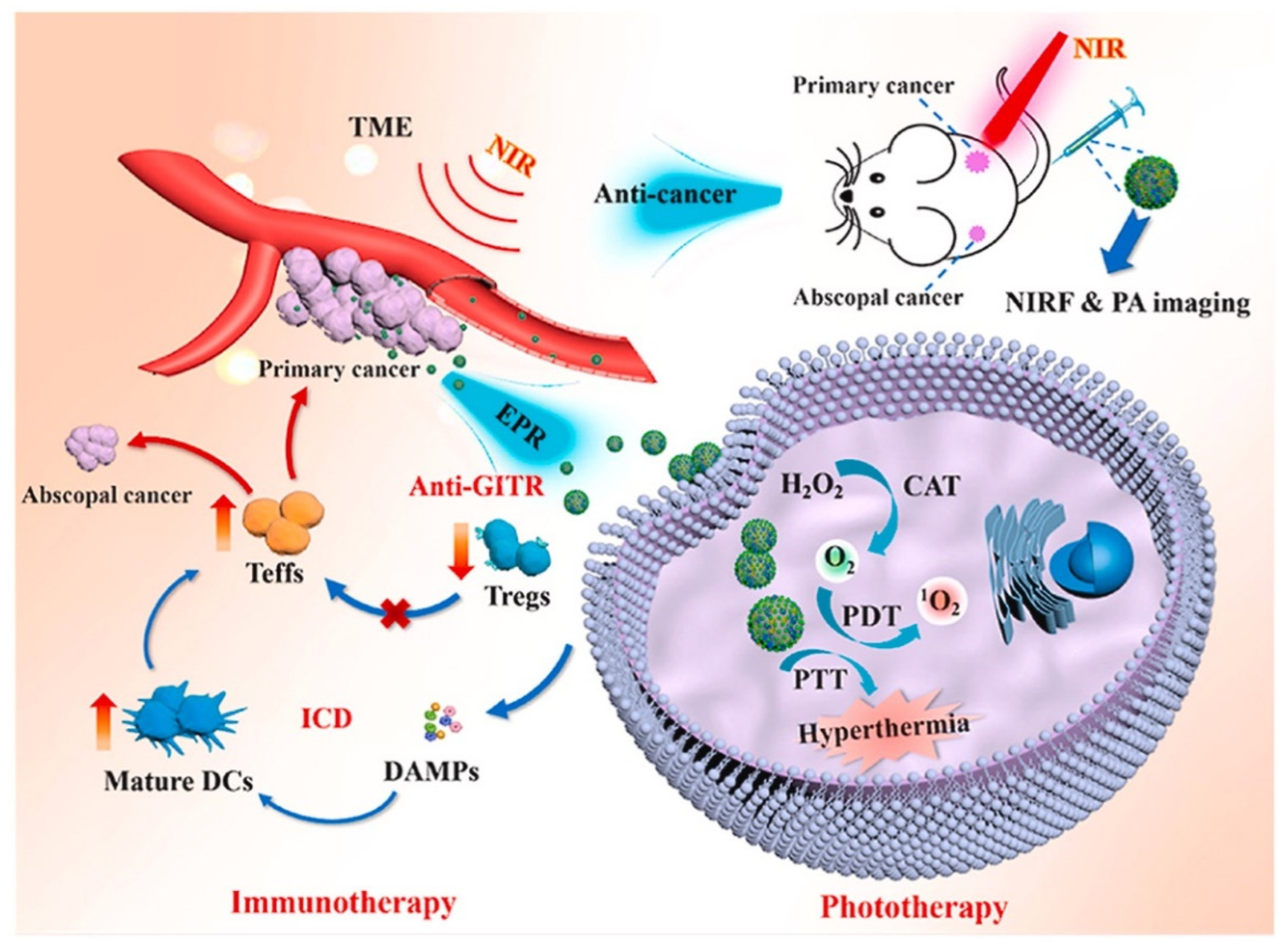 Polymers 15 02219 g010 Polymers 15 02219 g010
