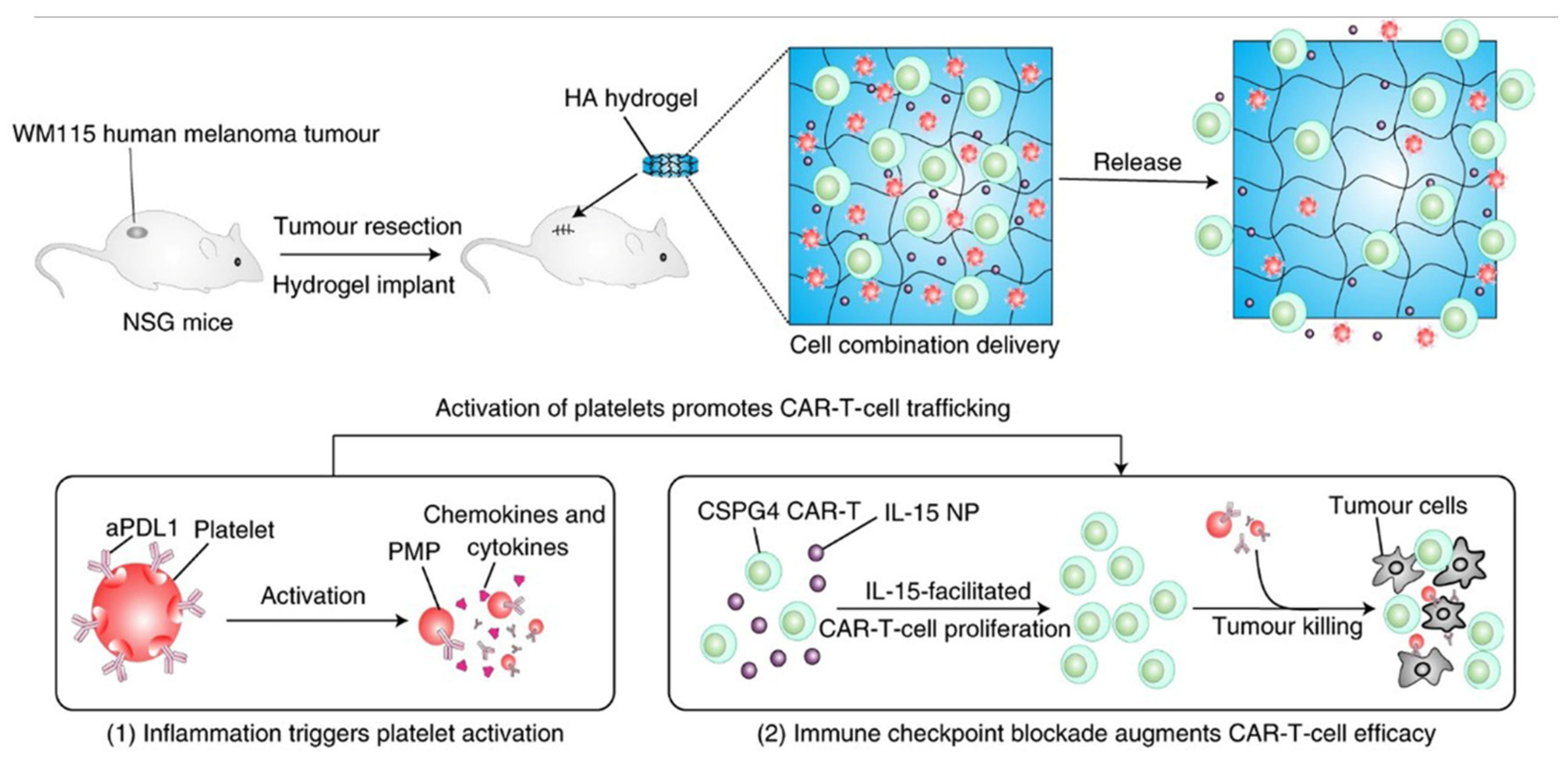 Polymers 15 02219 g011 Polymers 15 02219 g011