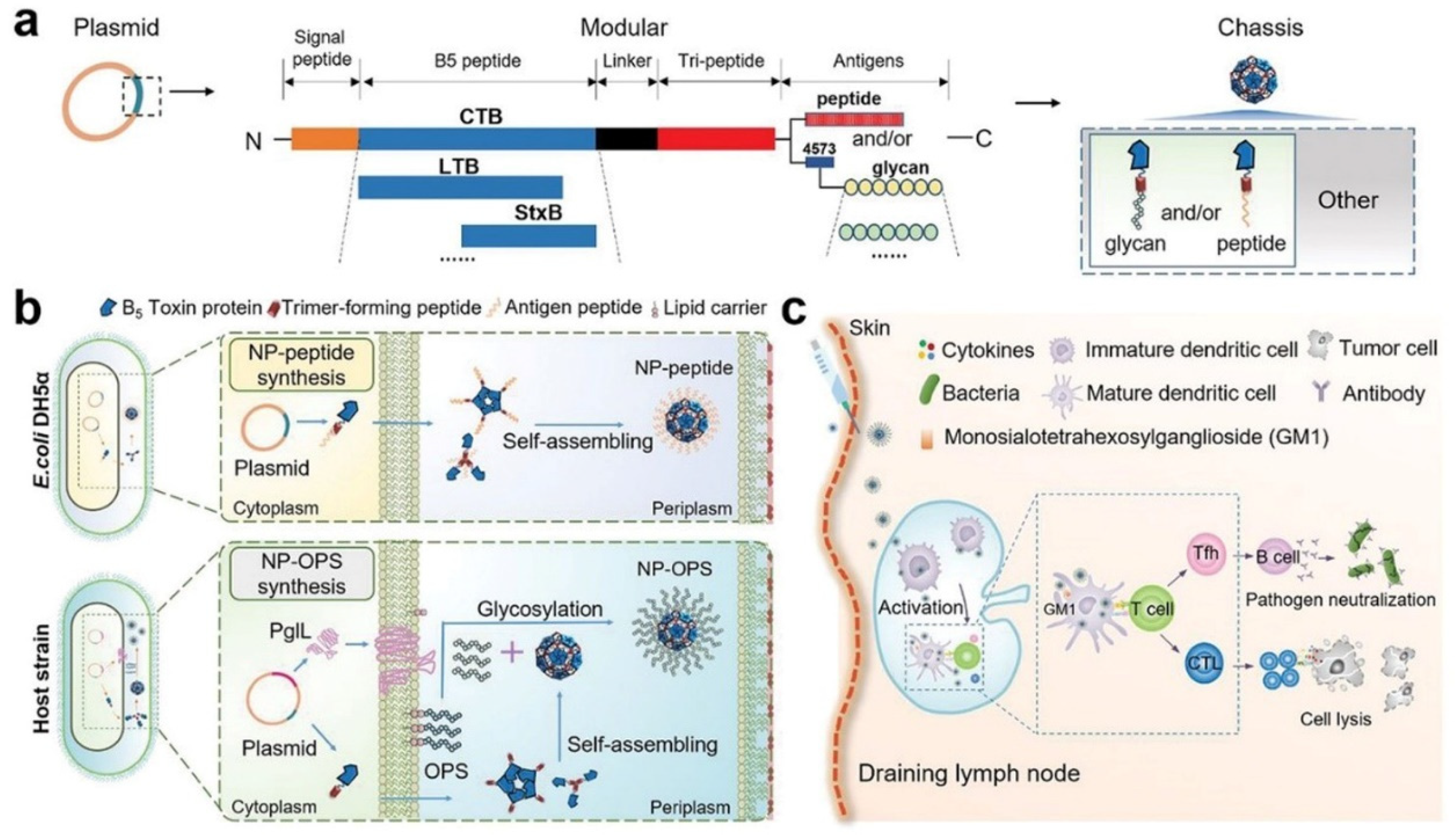 Polymers 15 02219 g013 Polymers 15 02219 g013