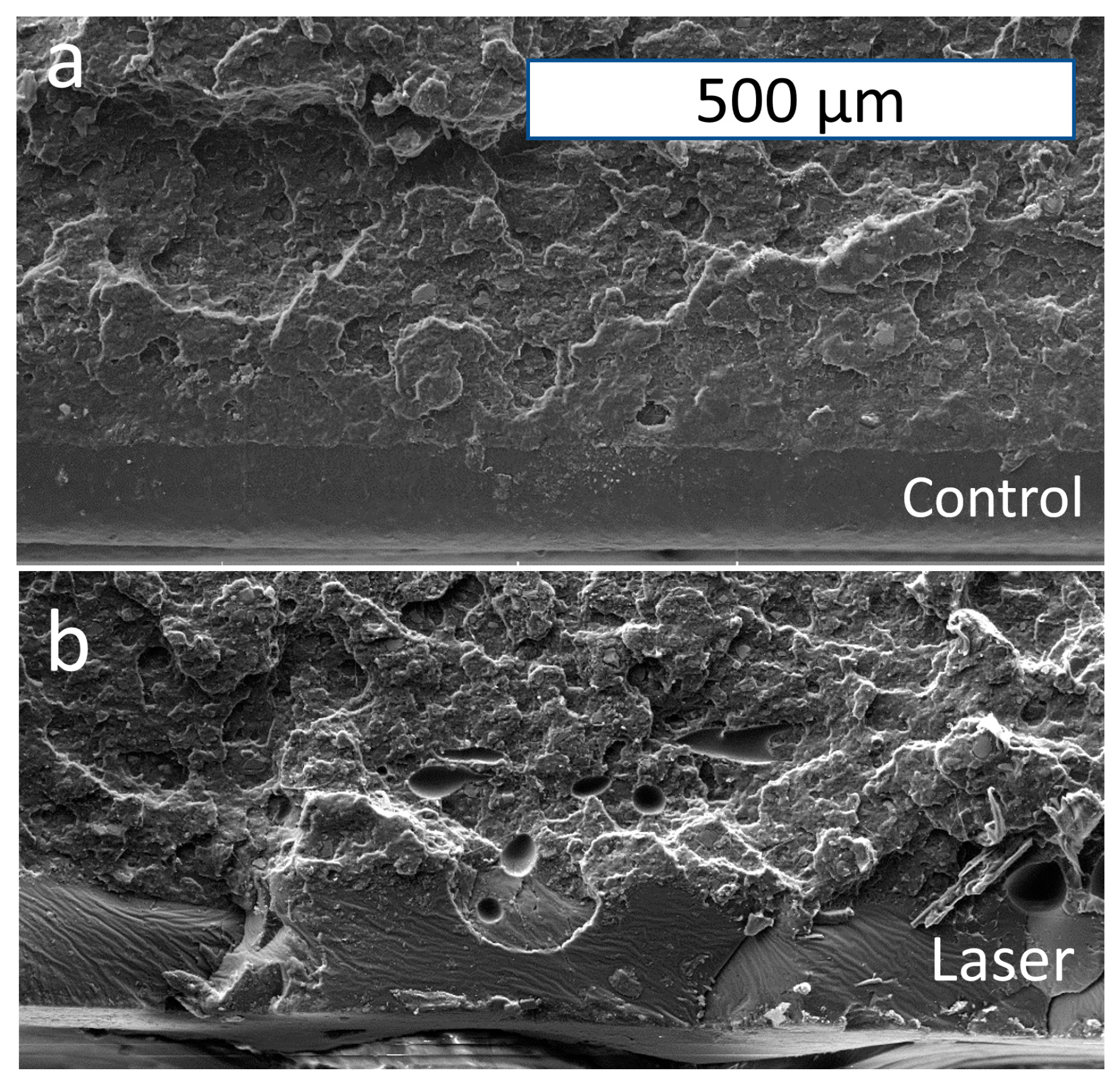 Polymers 15 02221 g008 Polymers 15 02221 g008