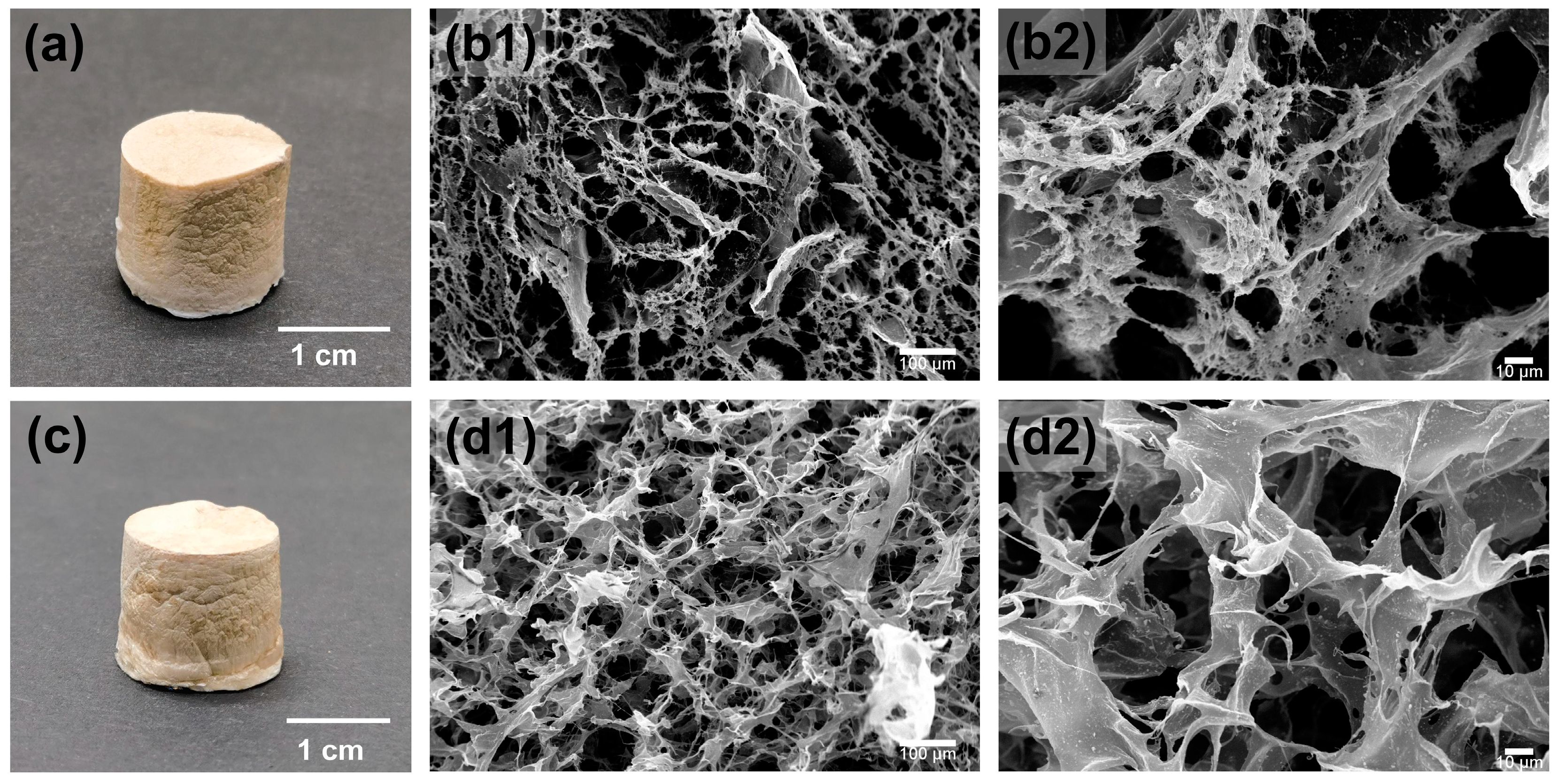 Biofoam- The polystyrene alternative