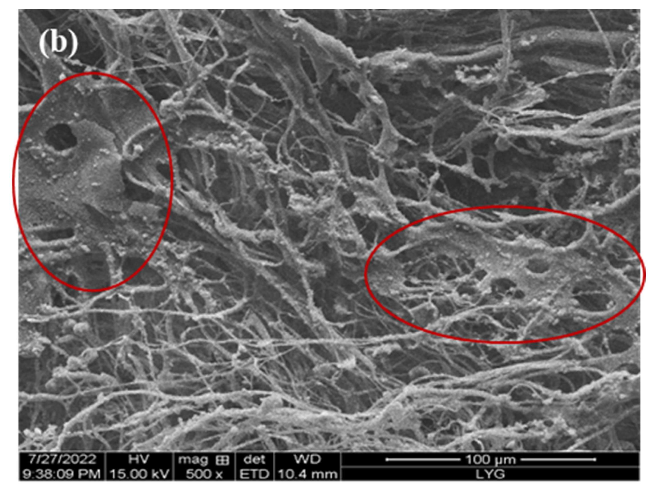 Polymers 15 02252 g006b