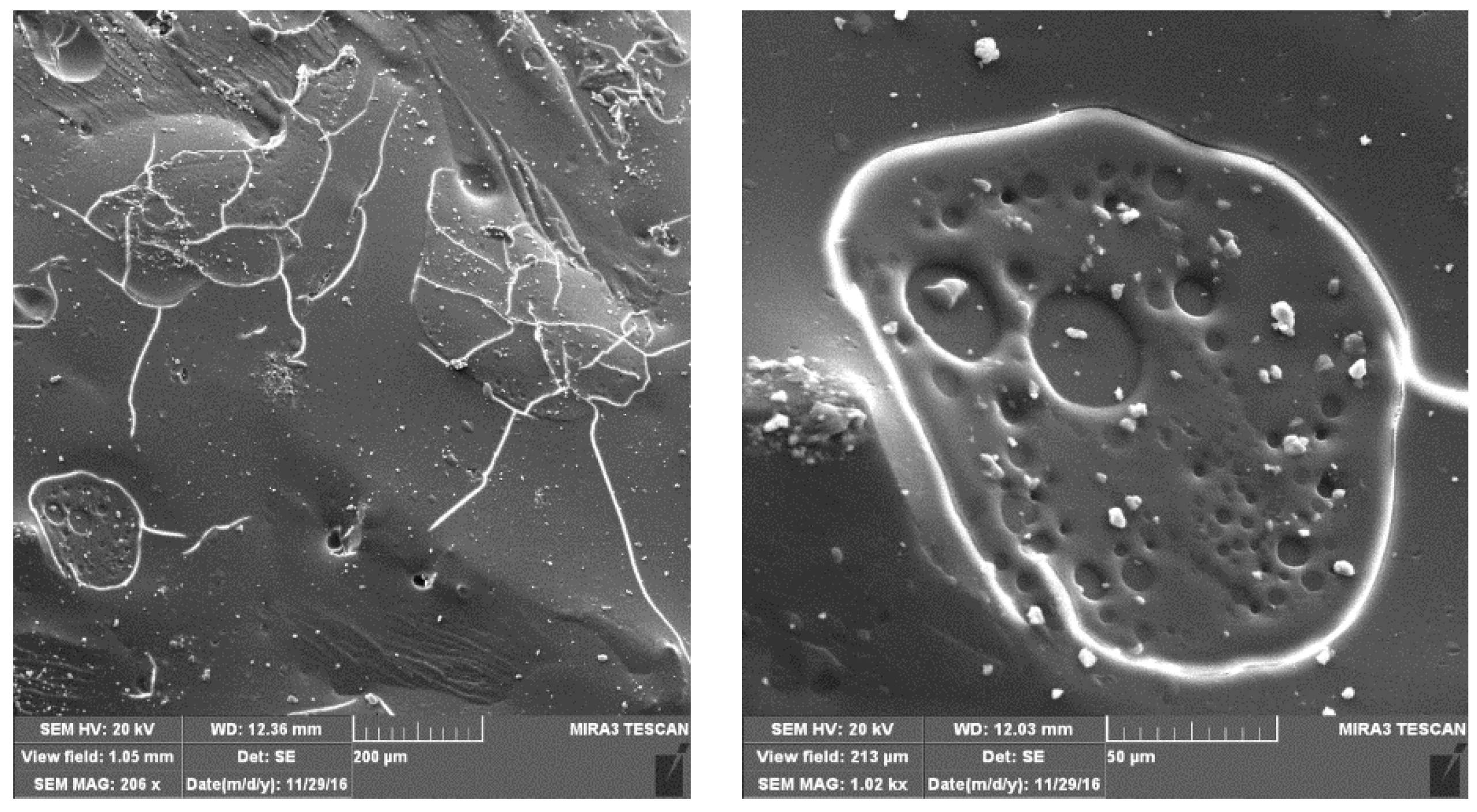 Polymers 15 02261 g002 Polymers 15 02261 g002