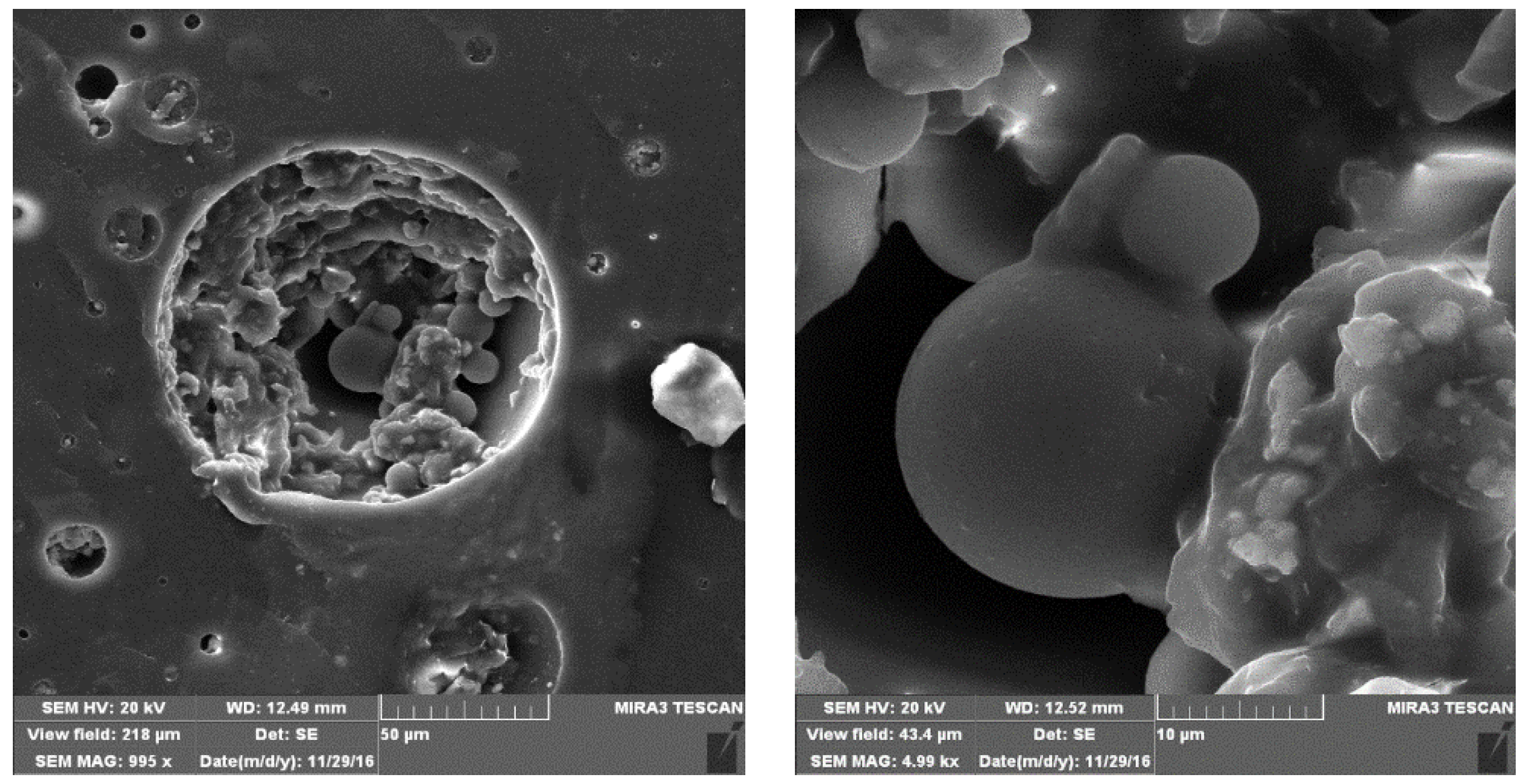 Polymers 15 02261 g003 Polymers 15 02261 g003