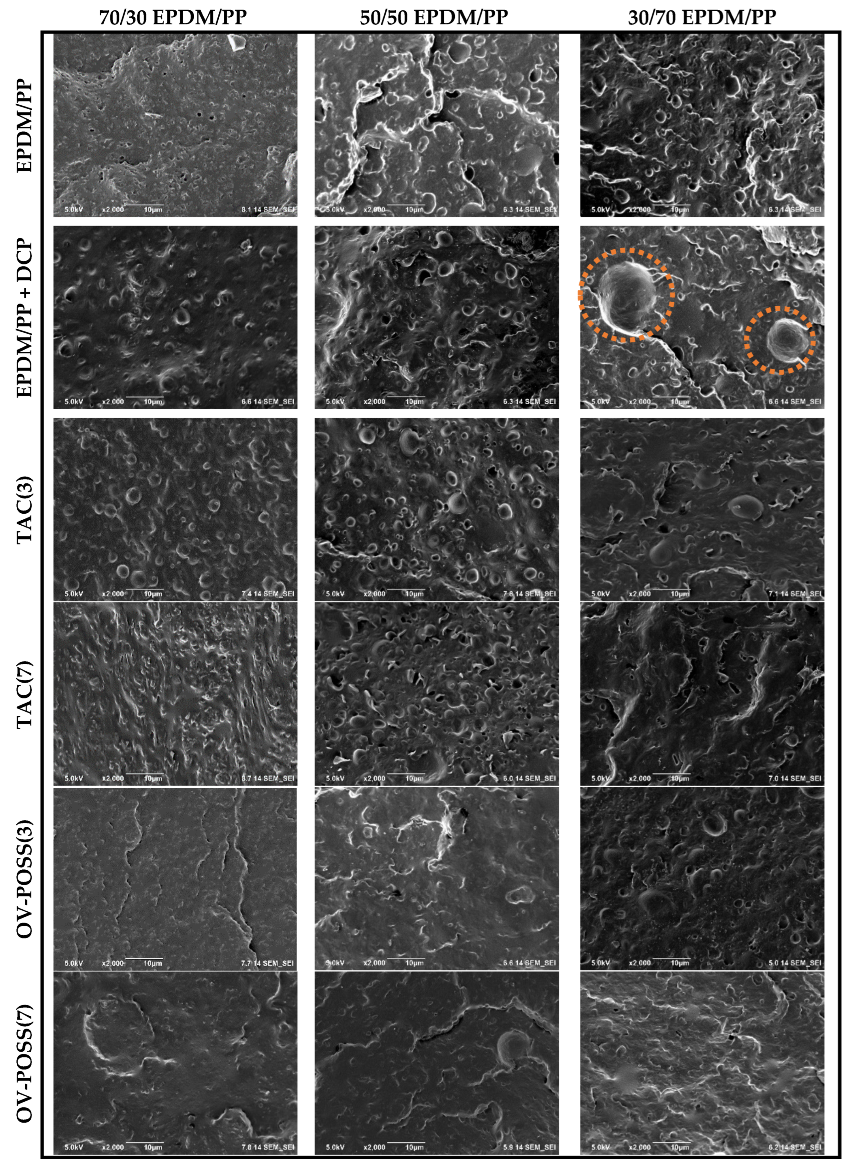 Polymers 15 02267 g012 Polymers 15 02267 g012