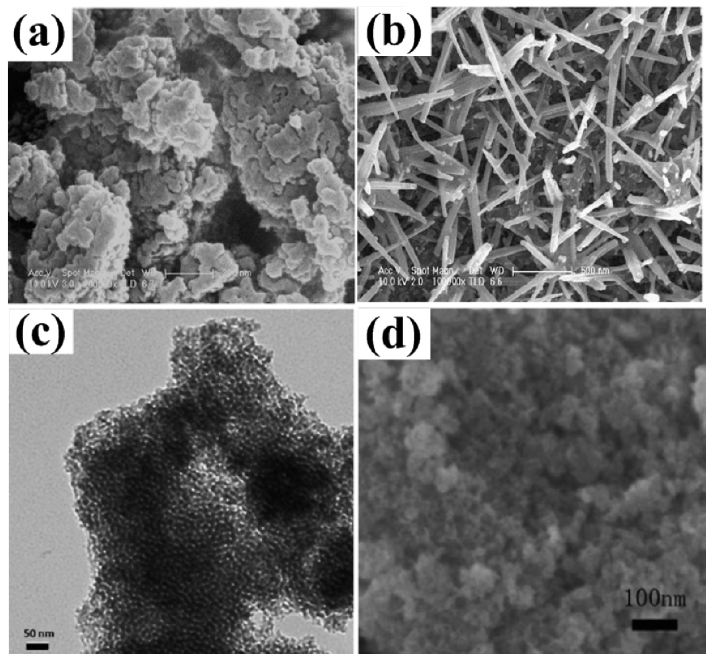 Polymers 15 02272 g008