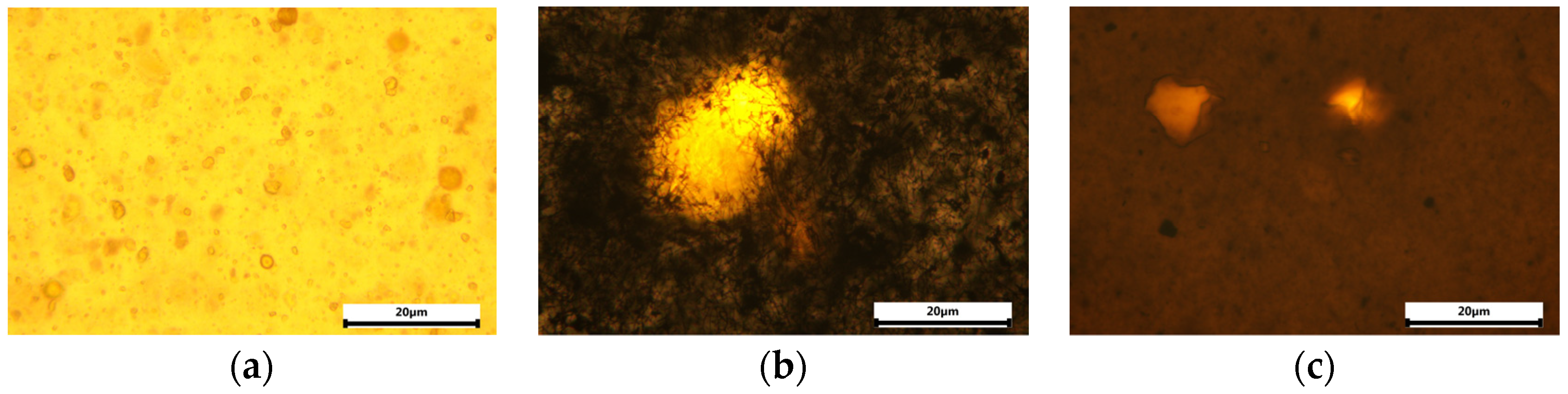 Polymers 15 02298 g002