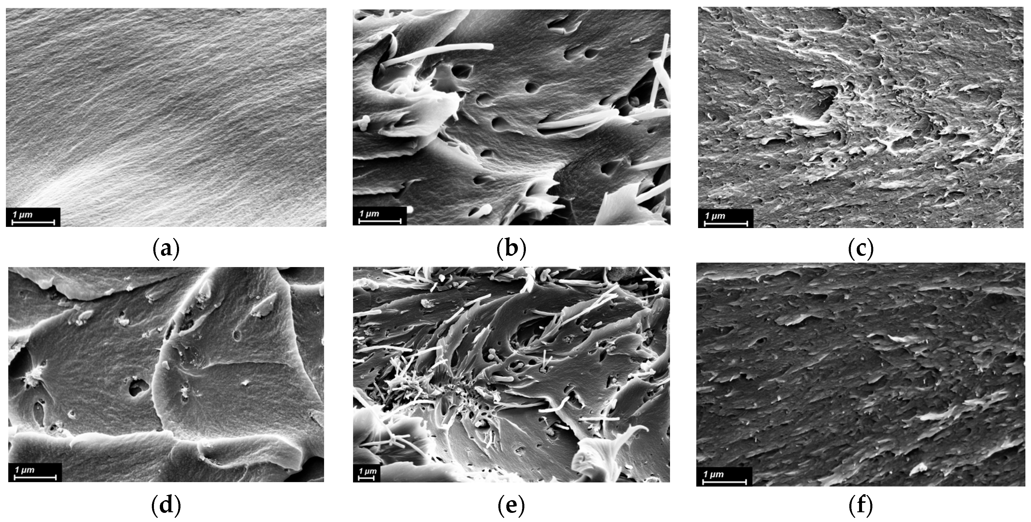 Polymers 15 02298 g003