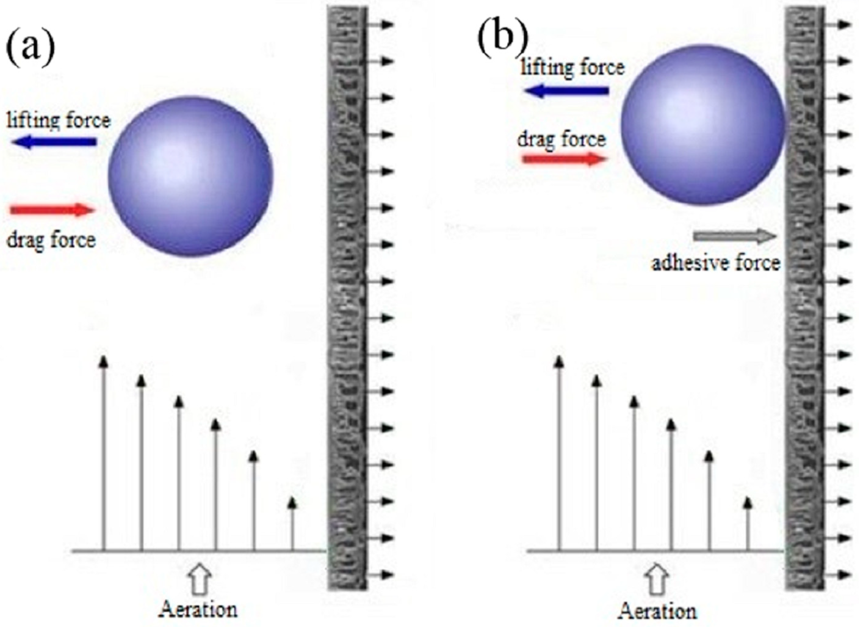 Polymers 15 02319 g001