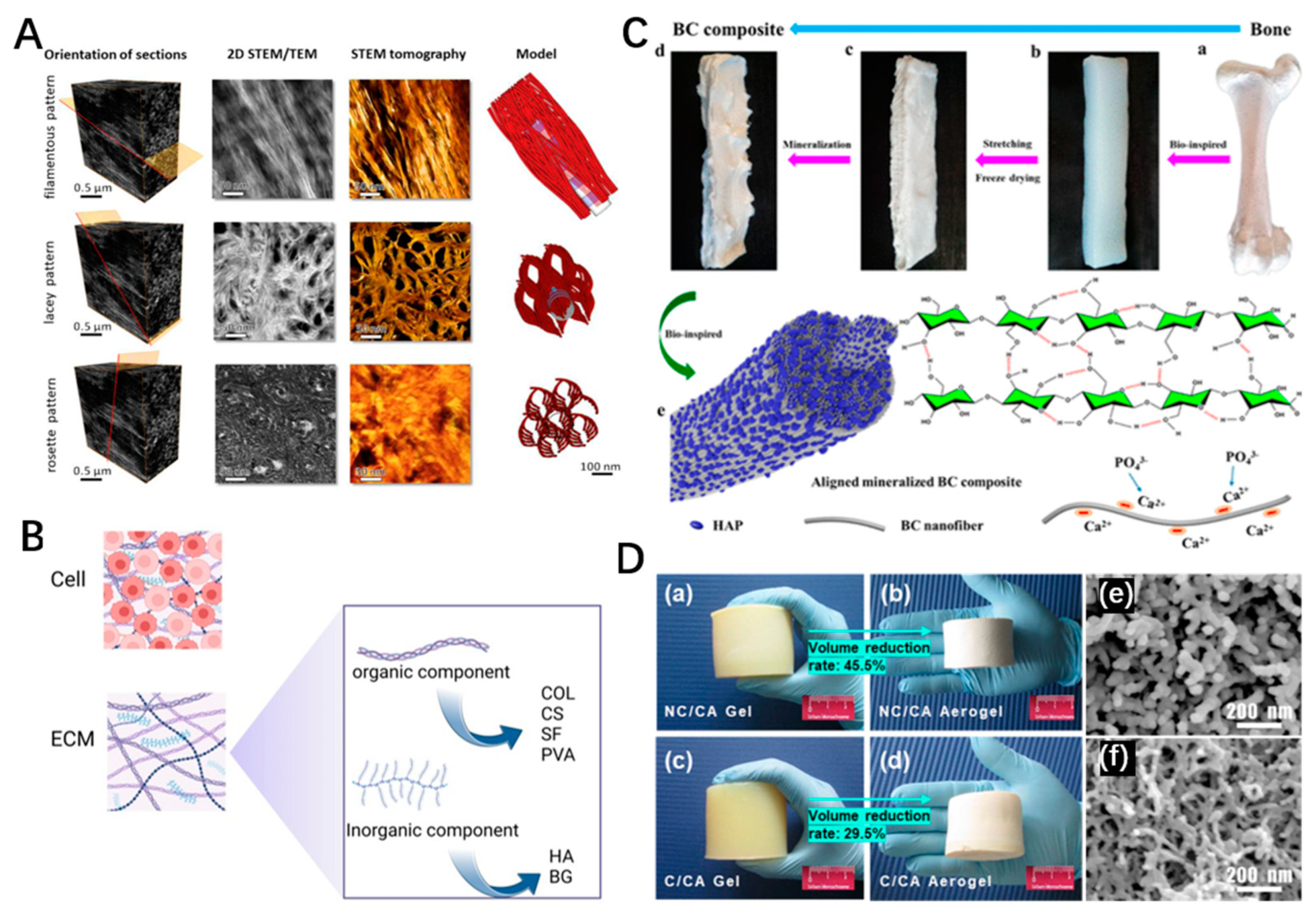 Polymers 15 02323 g002 Polymers 15 02323 g002
