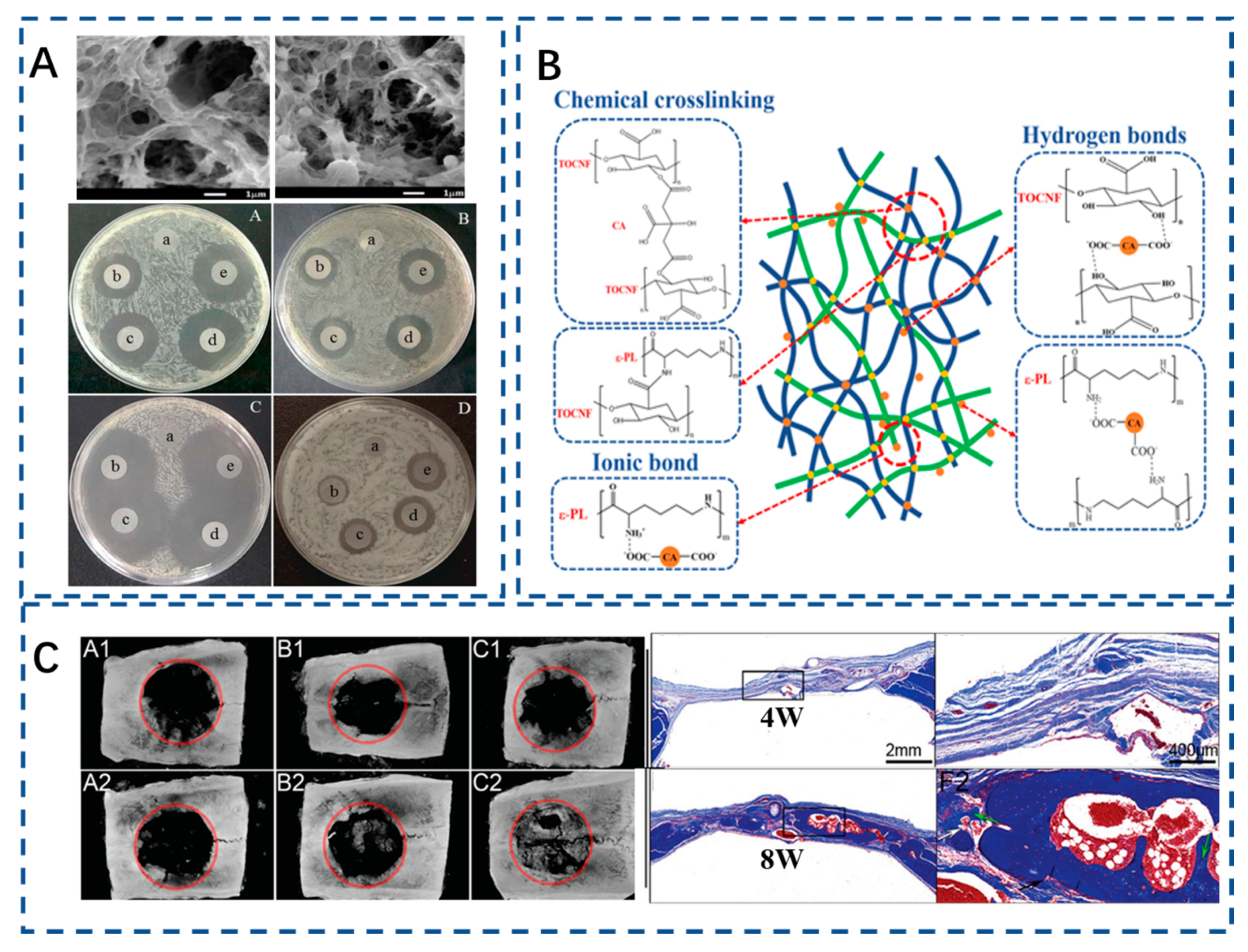 Polymers 15 02323 g003 Polymers 15 02323 g003