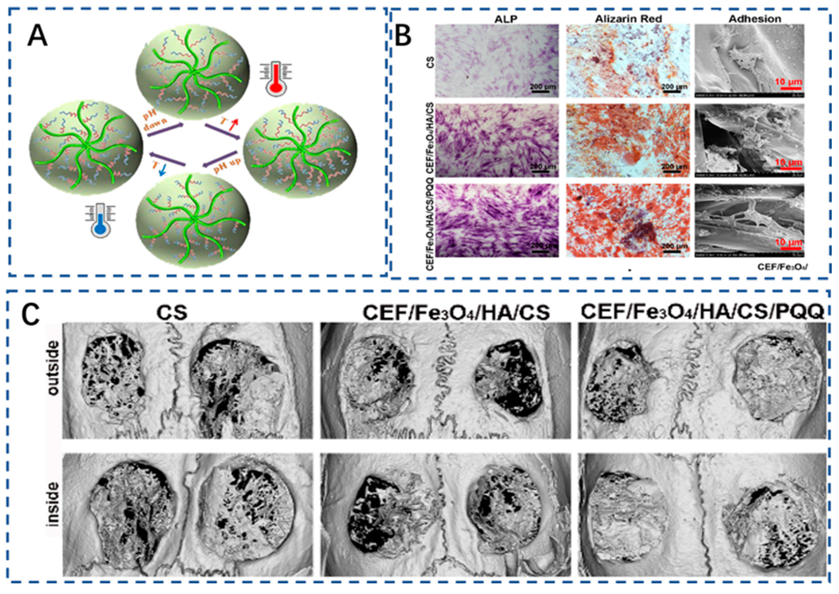 Polymers 15 02323 g004 Polymers 15 02323 g004