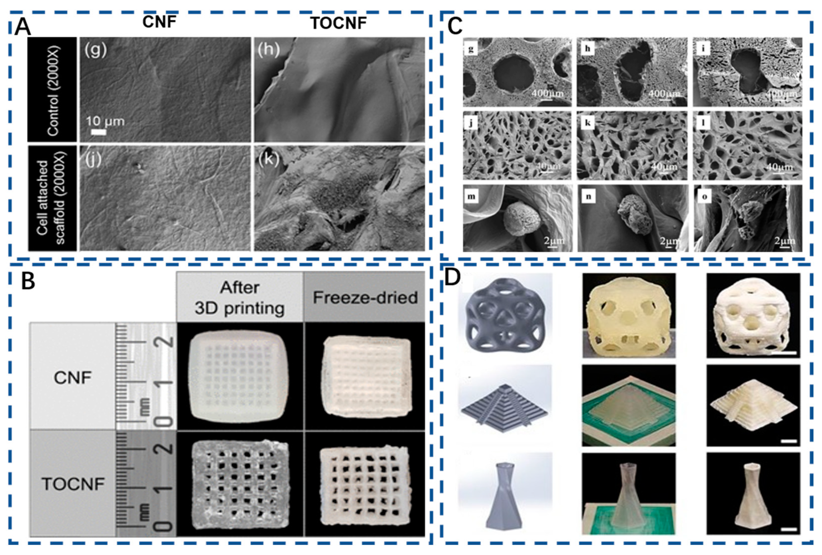 Polymers 15 02323 g005 Polymers 15 02323 g005