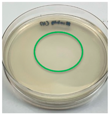 Polymers 15 02328 i001
