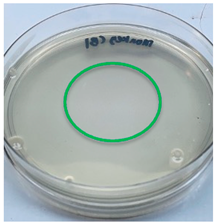 Polymers 15 02328 i002