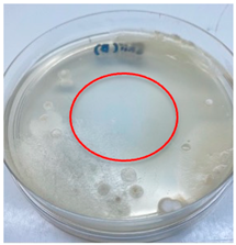 Polymers 15 02328 i004