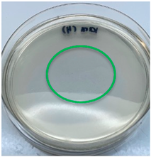 Polymers 15 02328 i007