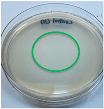 Polymers 15 02328 i011